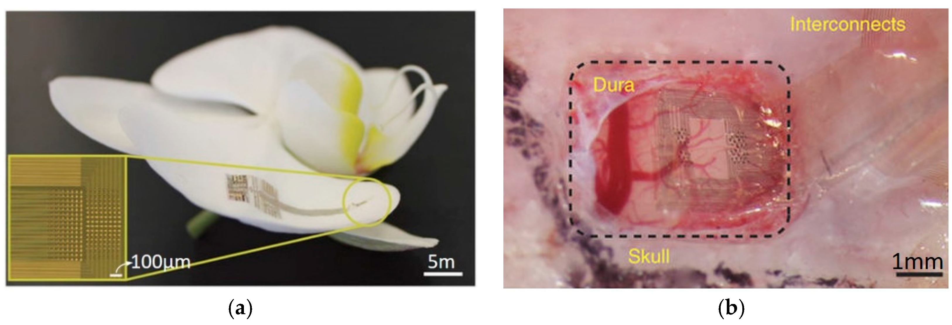 Applsci 07 01292 g006 Applsci 07 01292 g006