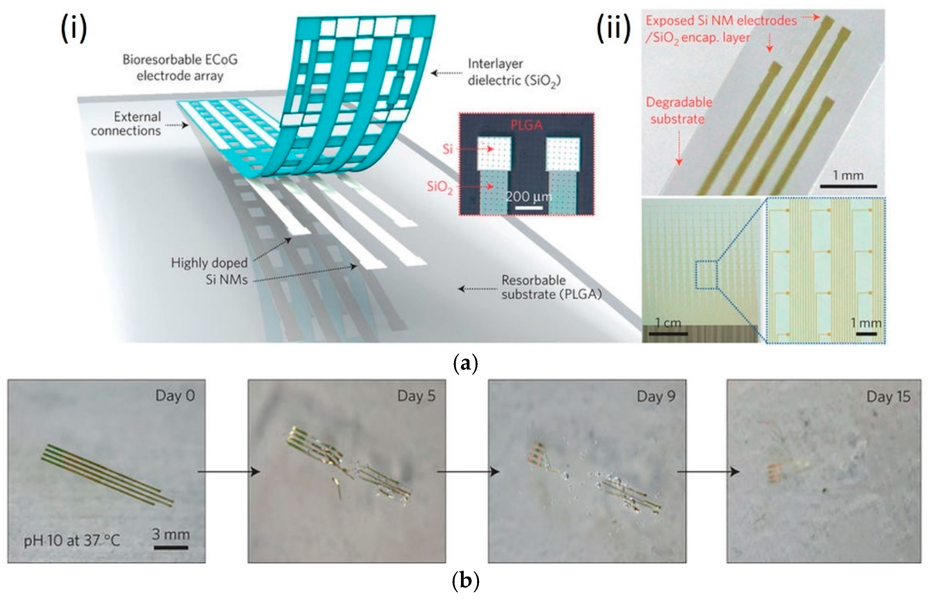 Applsci 07 01292 g008 Applsci 07 01292 g008