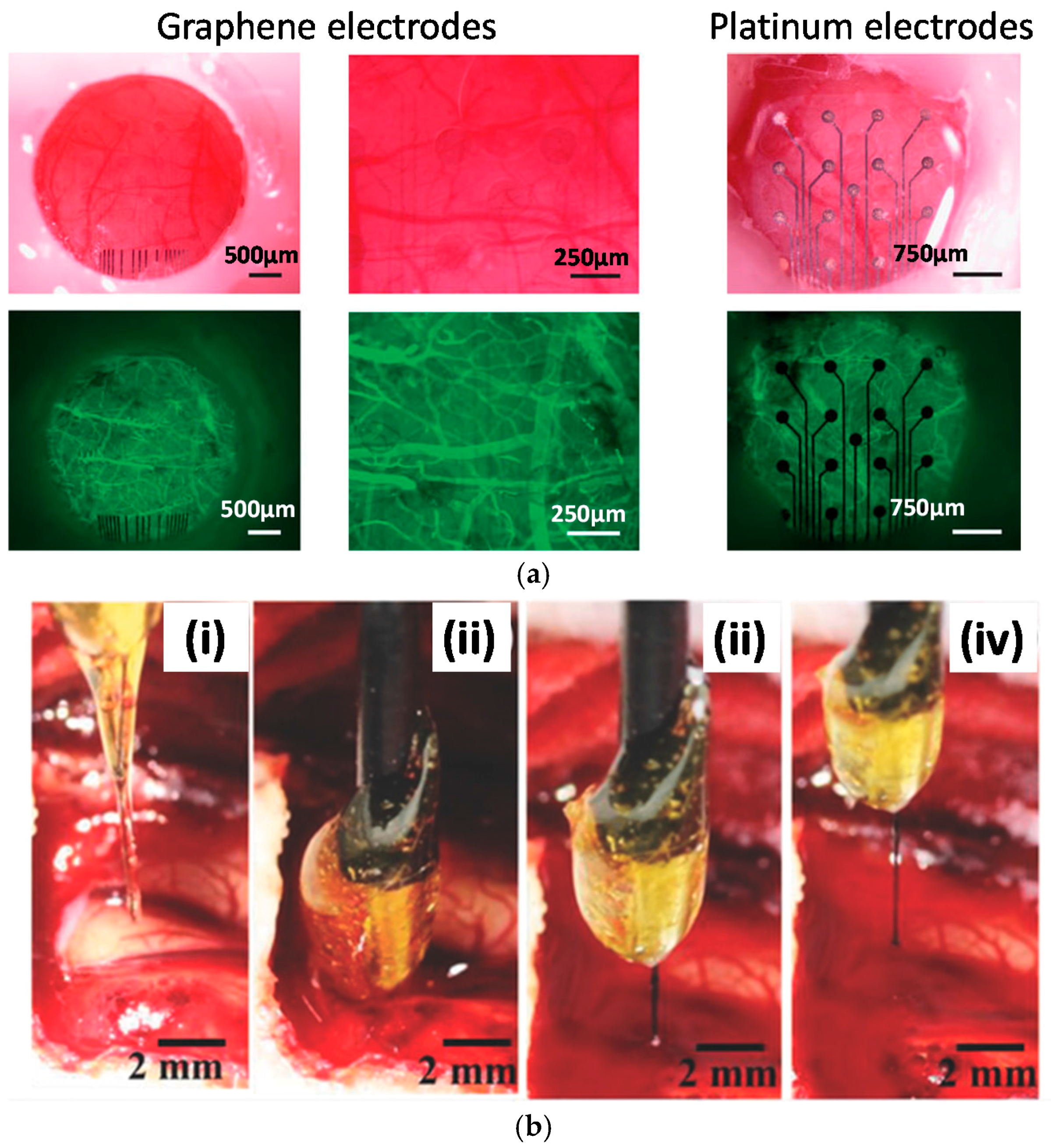 Applsci 07 01292 g009 Applsci 07 01292 g009