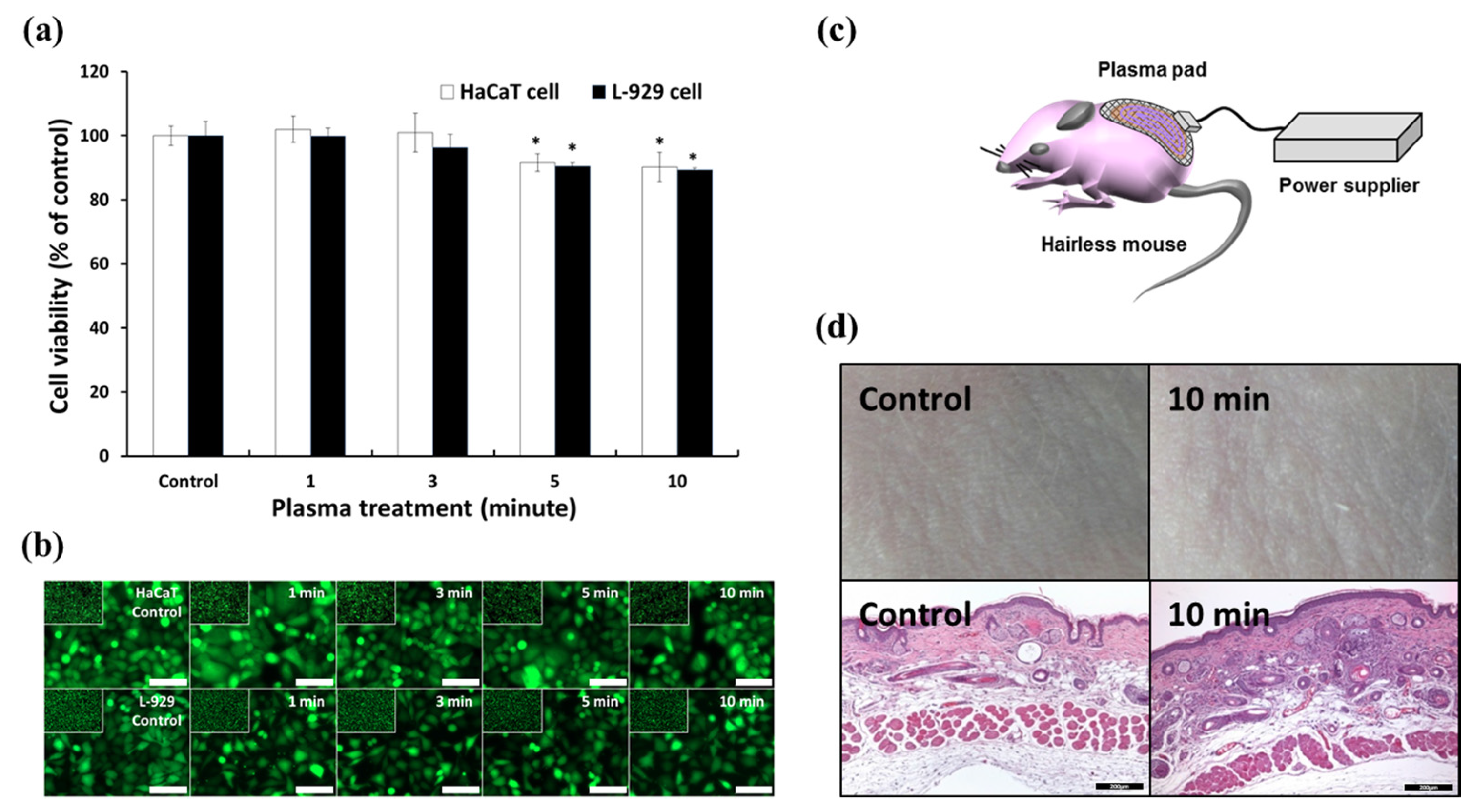 Applsci 07 01308 g004
