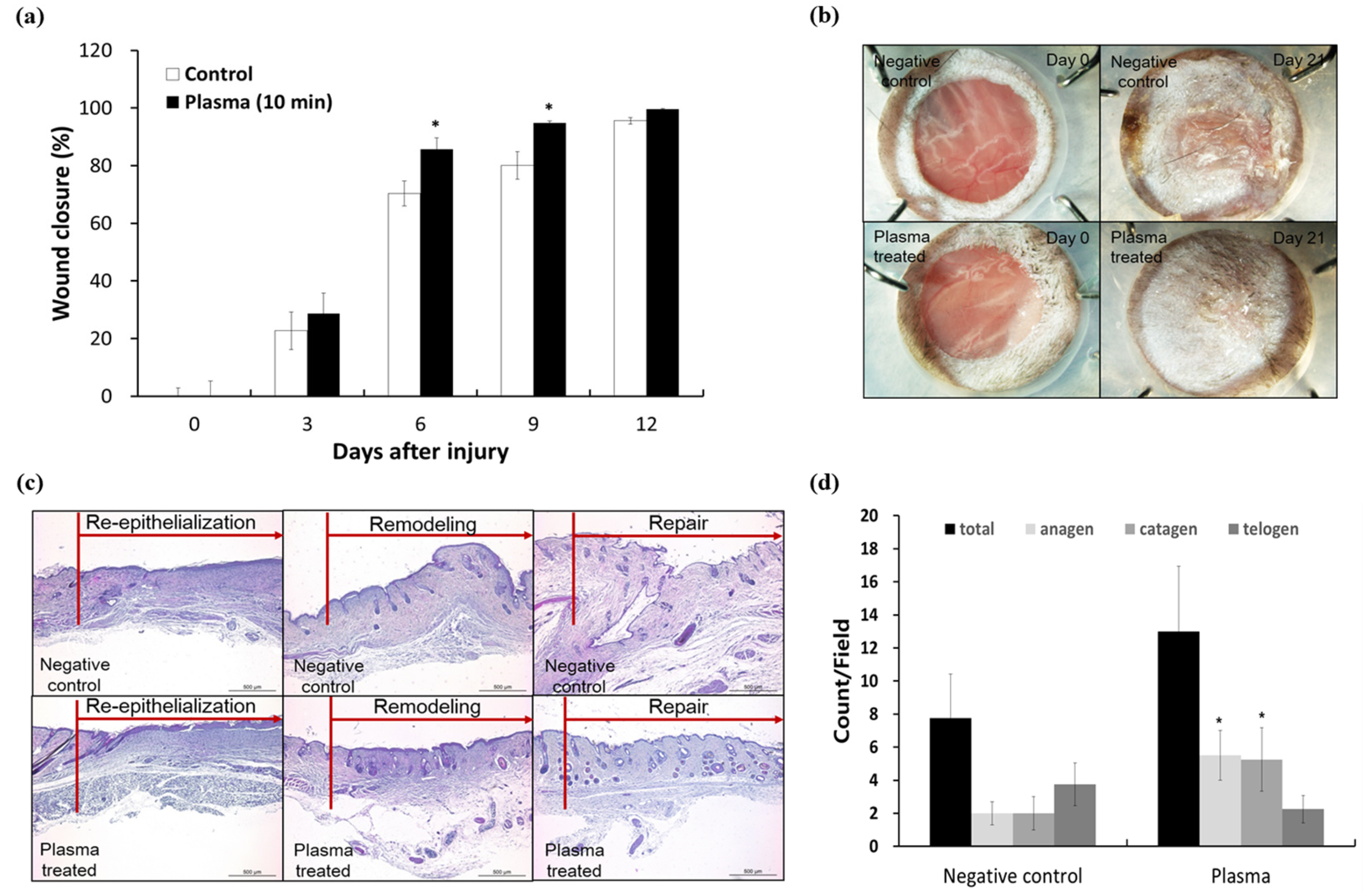 Applsci 07 01308 g006