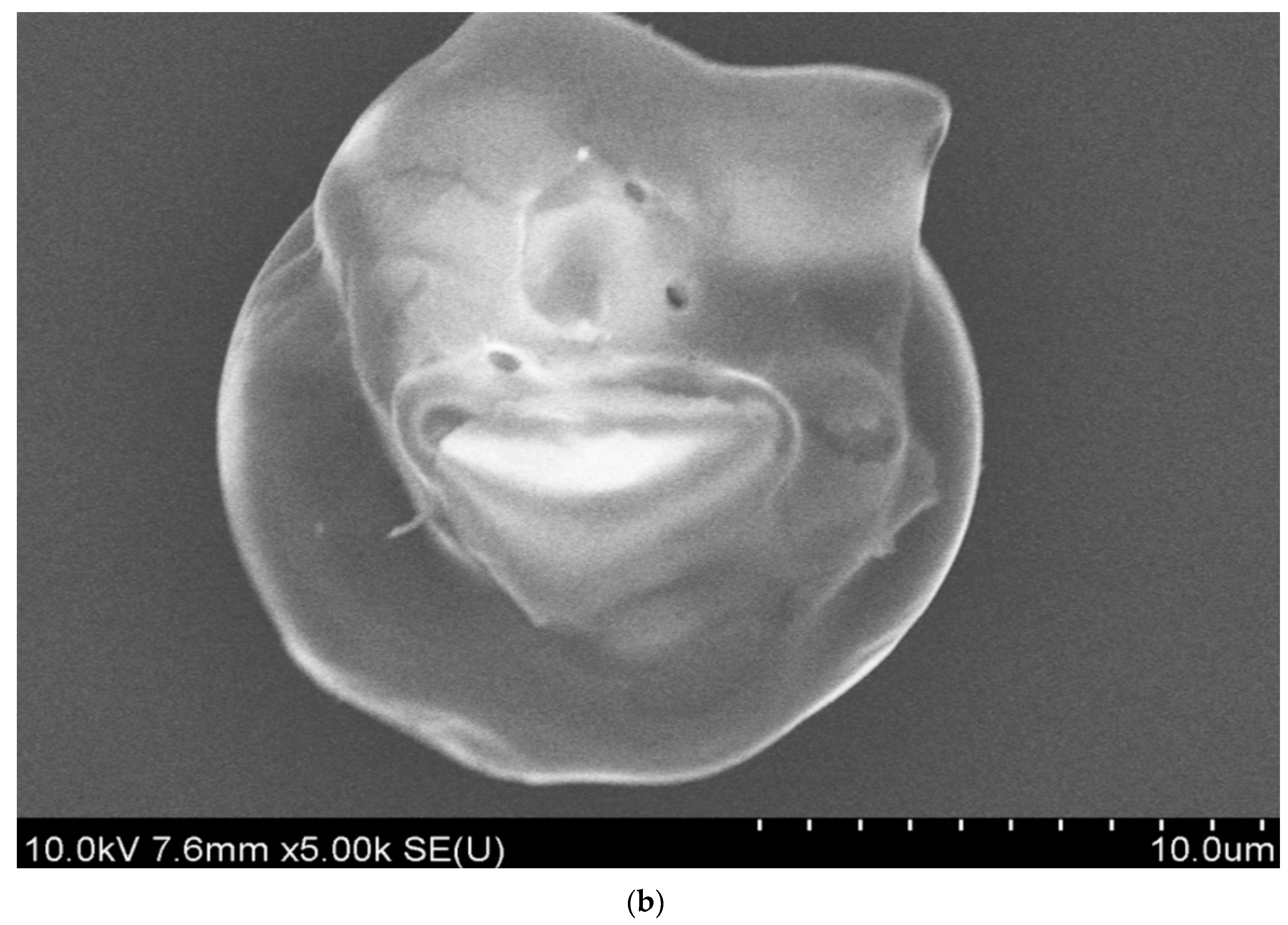 Applsci 07 01317 g001b