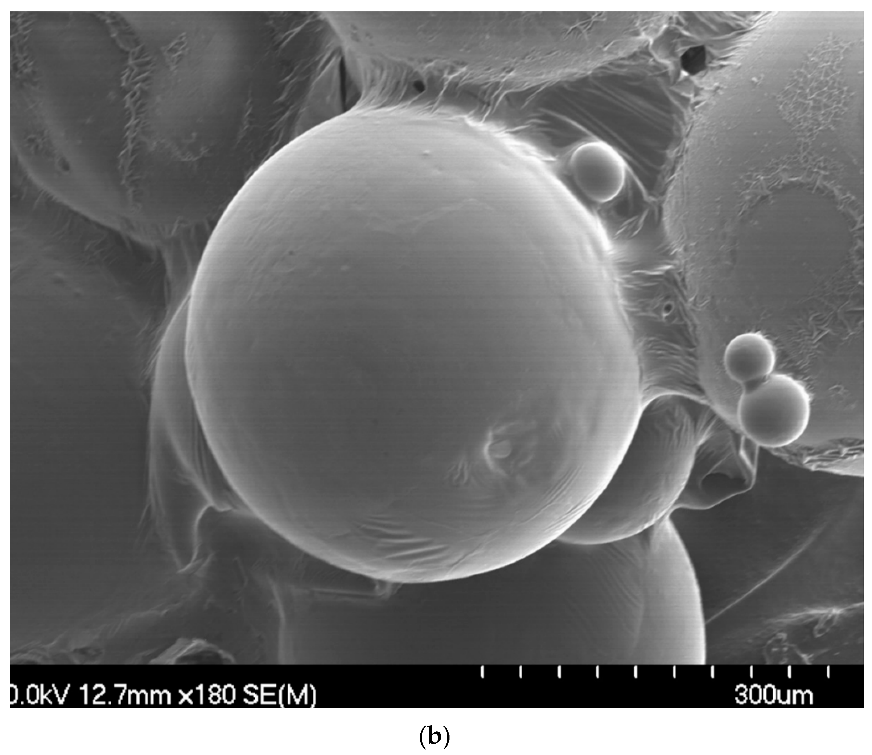 Applsci 07 01317 g002b