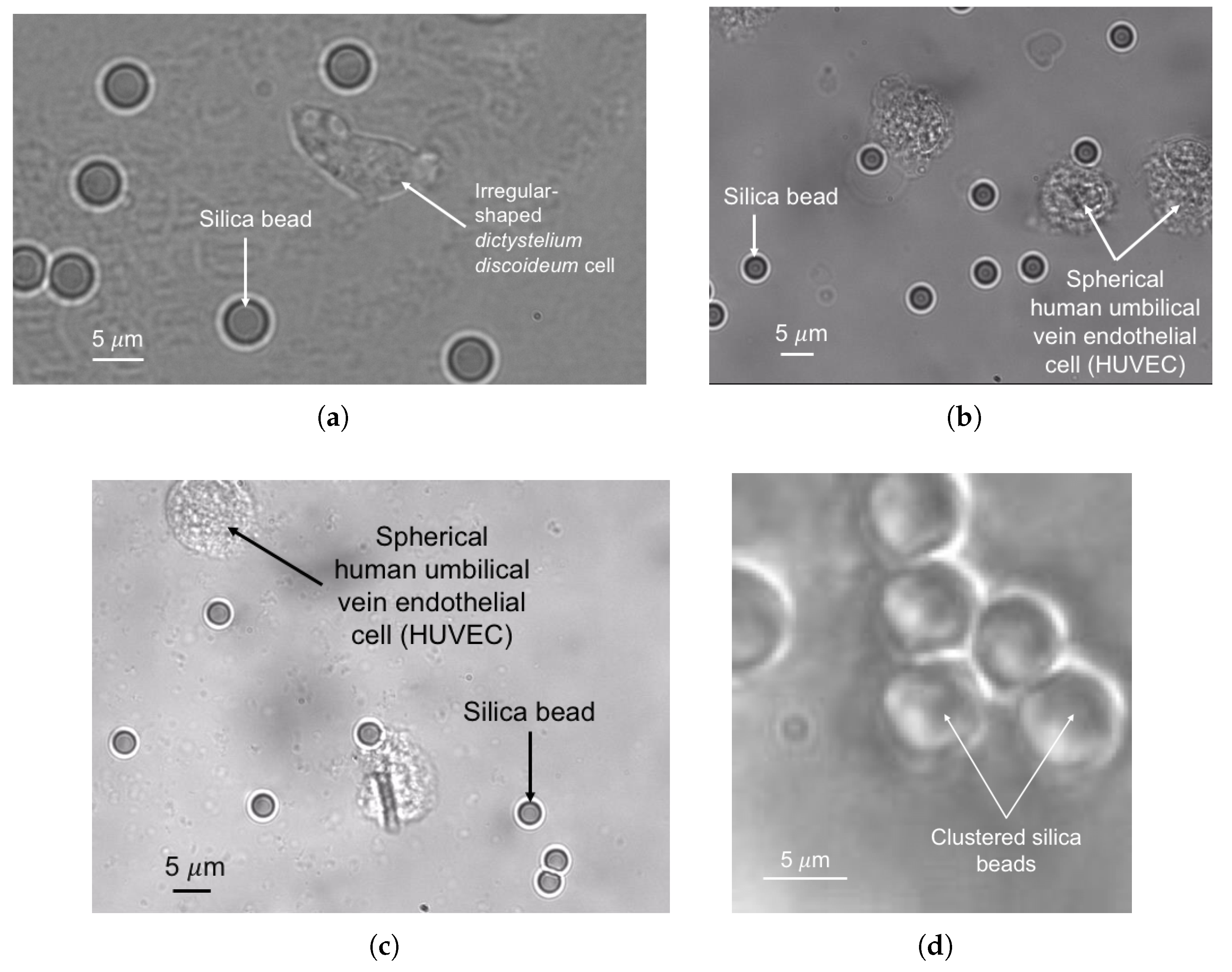 Applsci 07 01327 g002