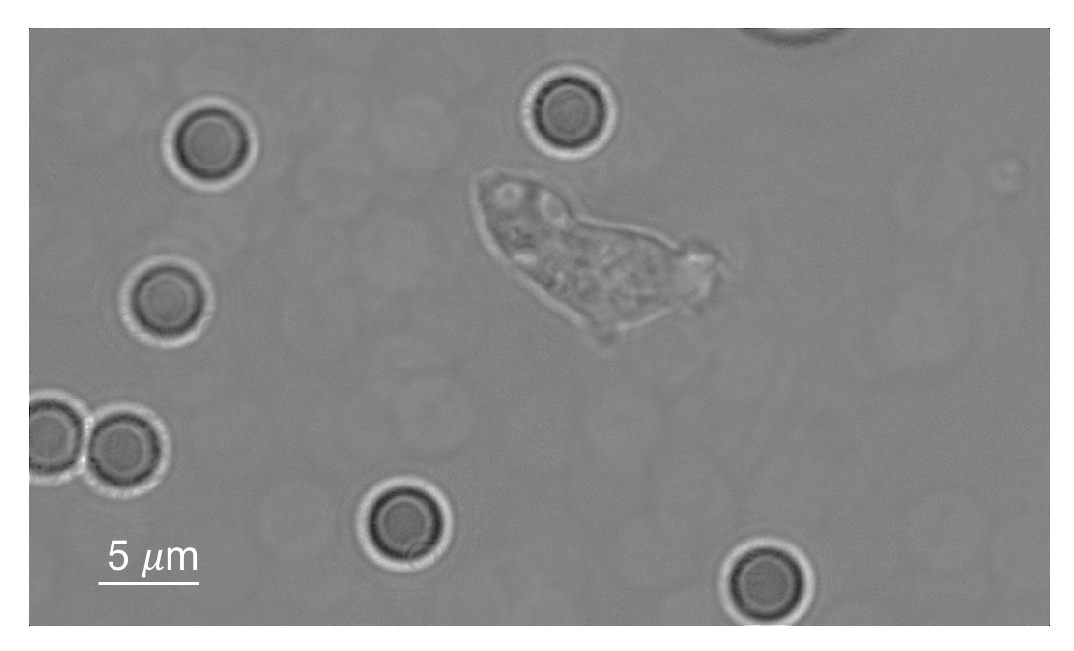 Applsci 07 01327 g003