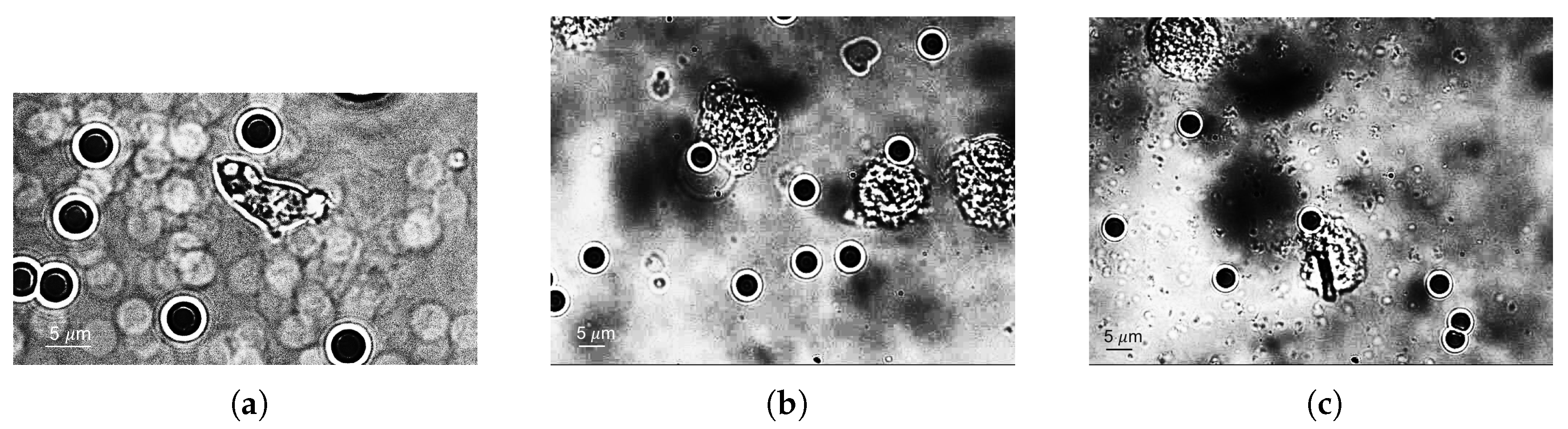 Applsci 07 01327 g004