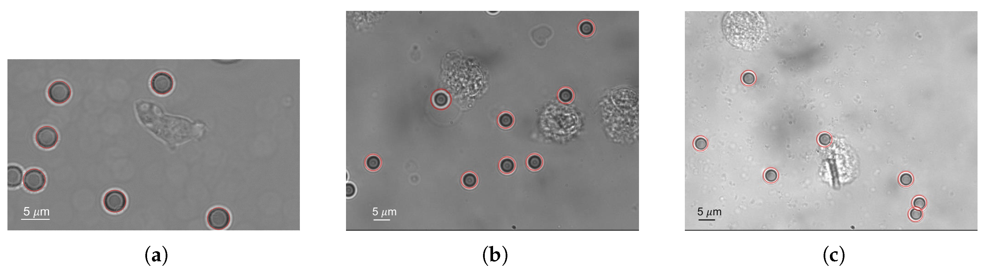 Applsci 07 01327 g005