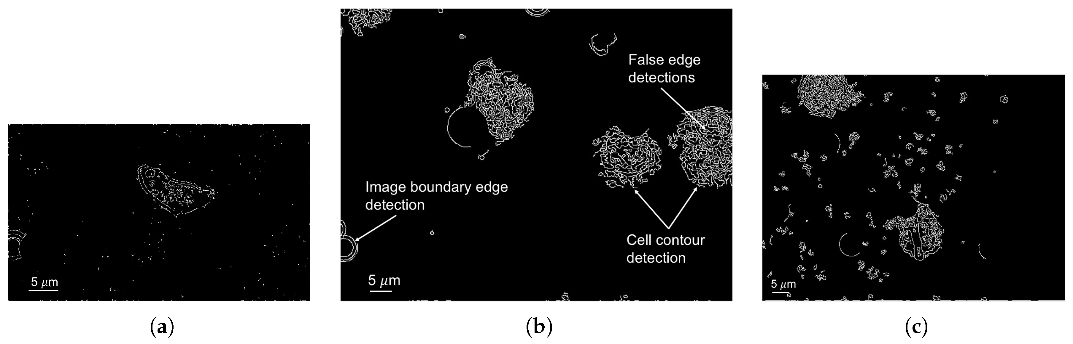 Applsci 07 01327 g008