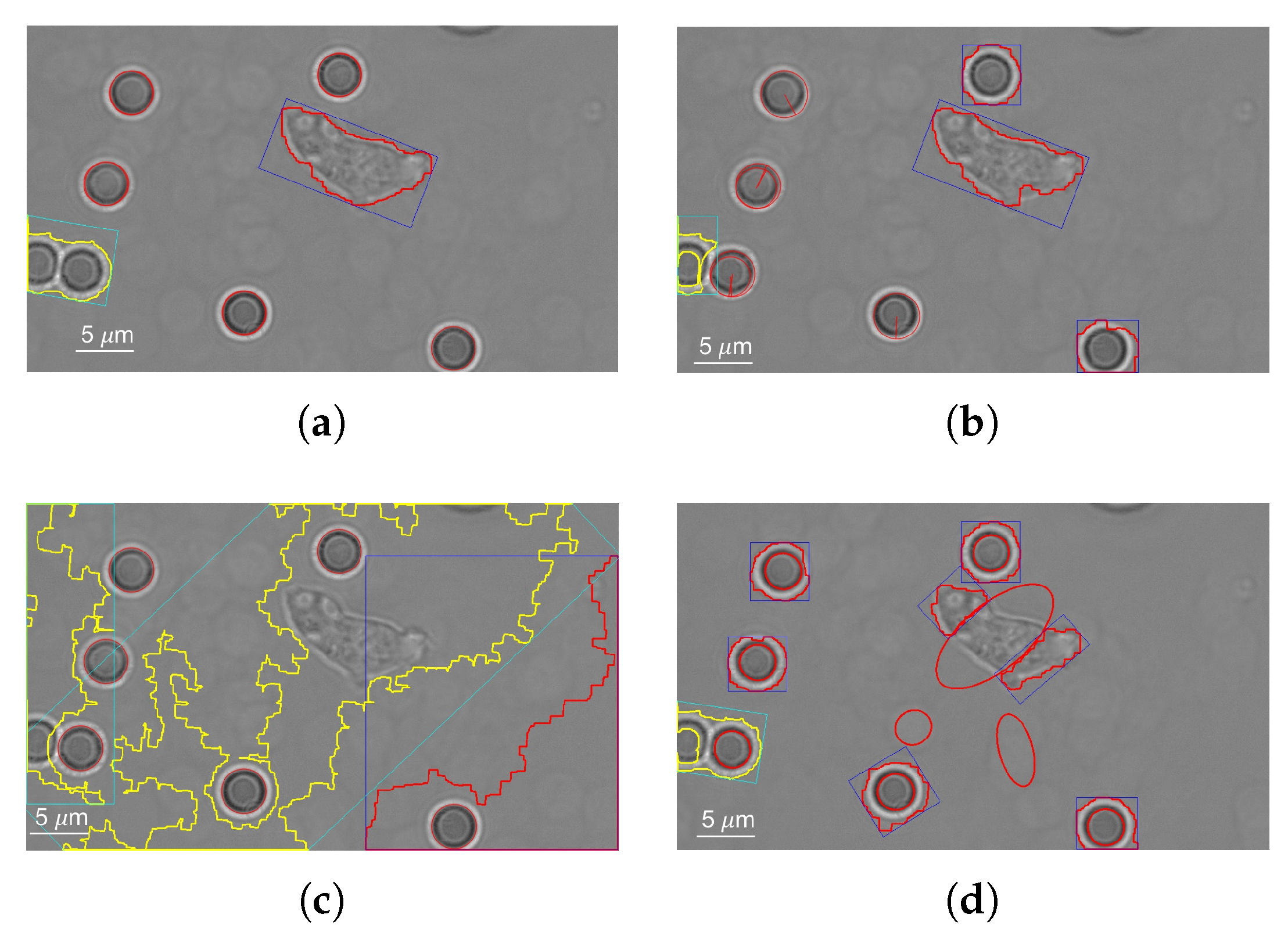 Applsci 07 01327 g020