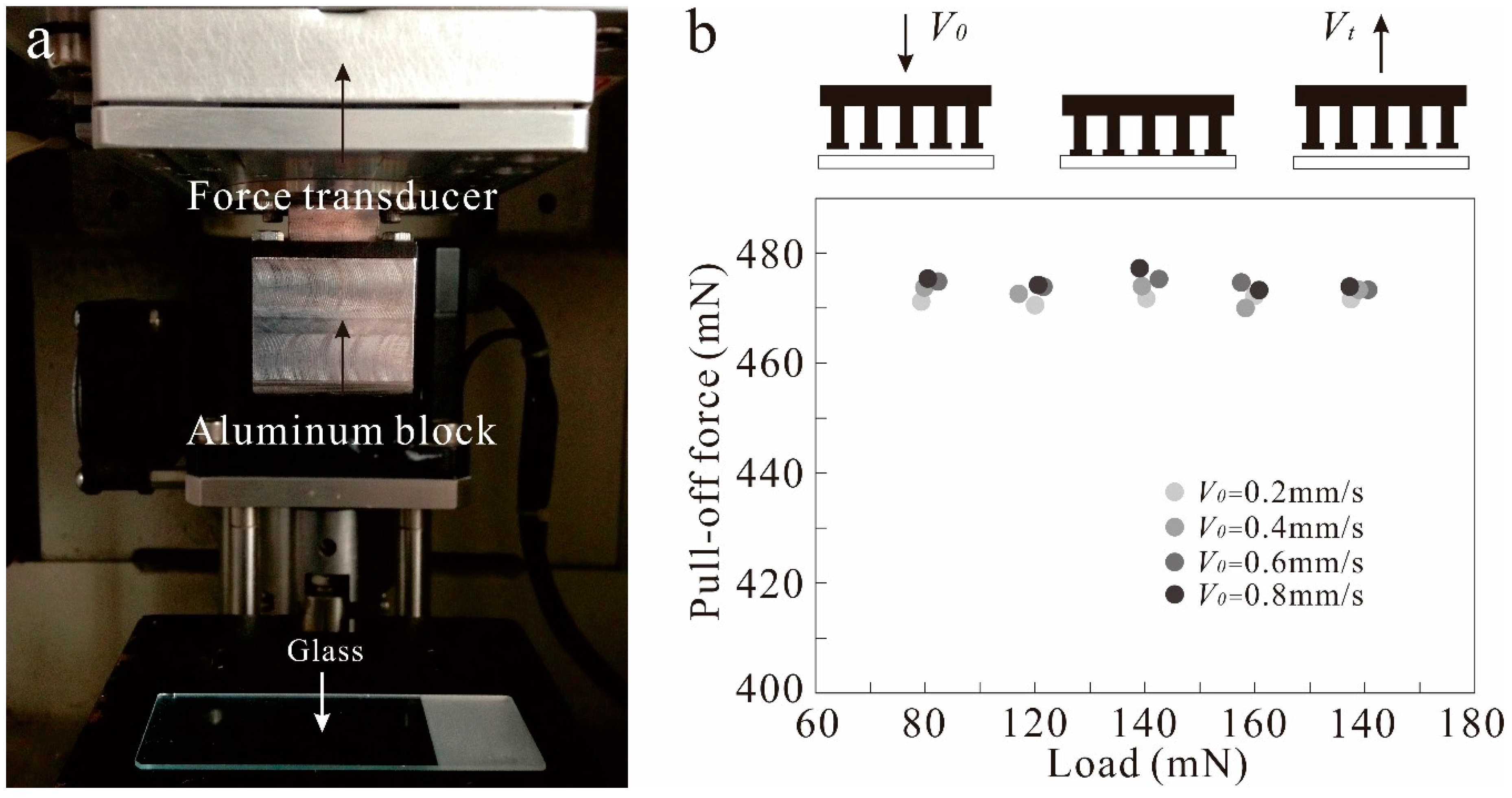 Applsci 08 00114 g003