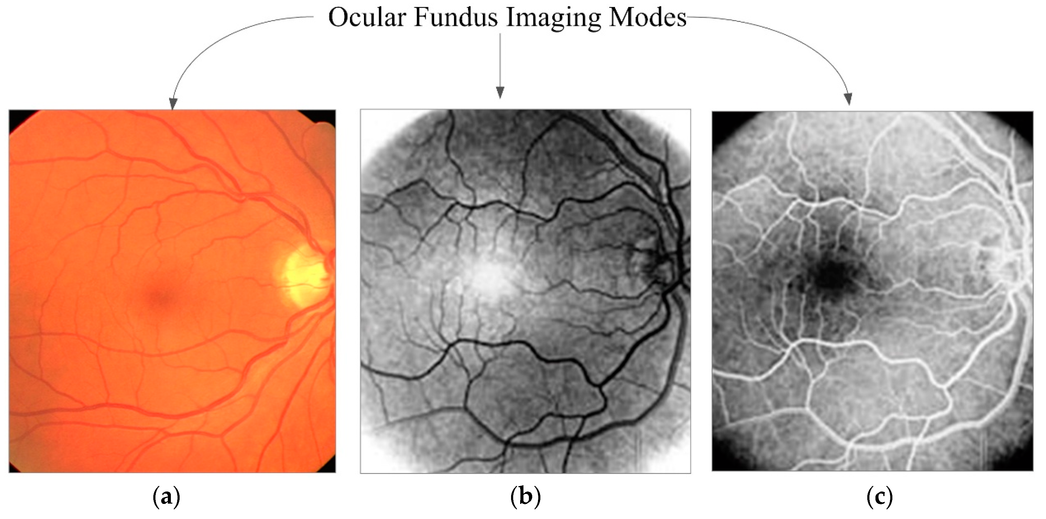 Applsci 08 00155 g003