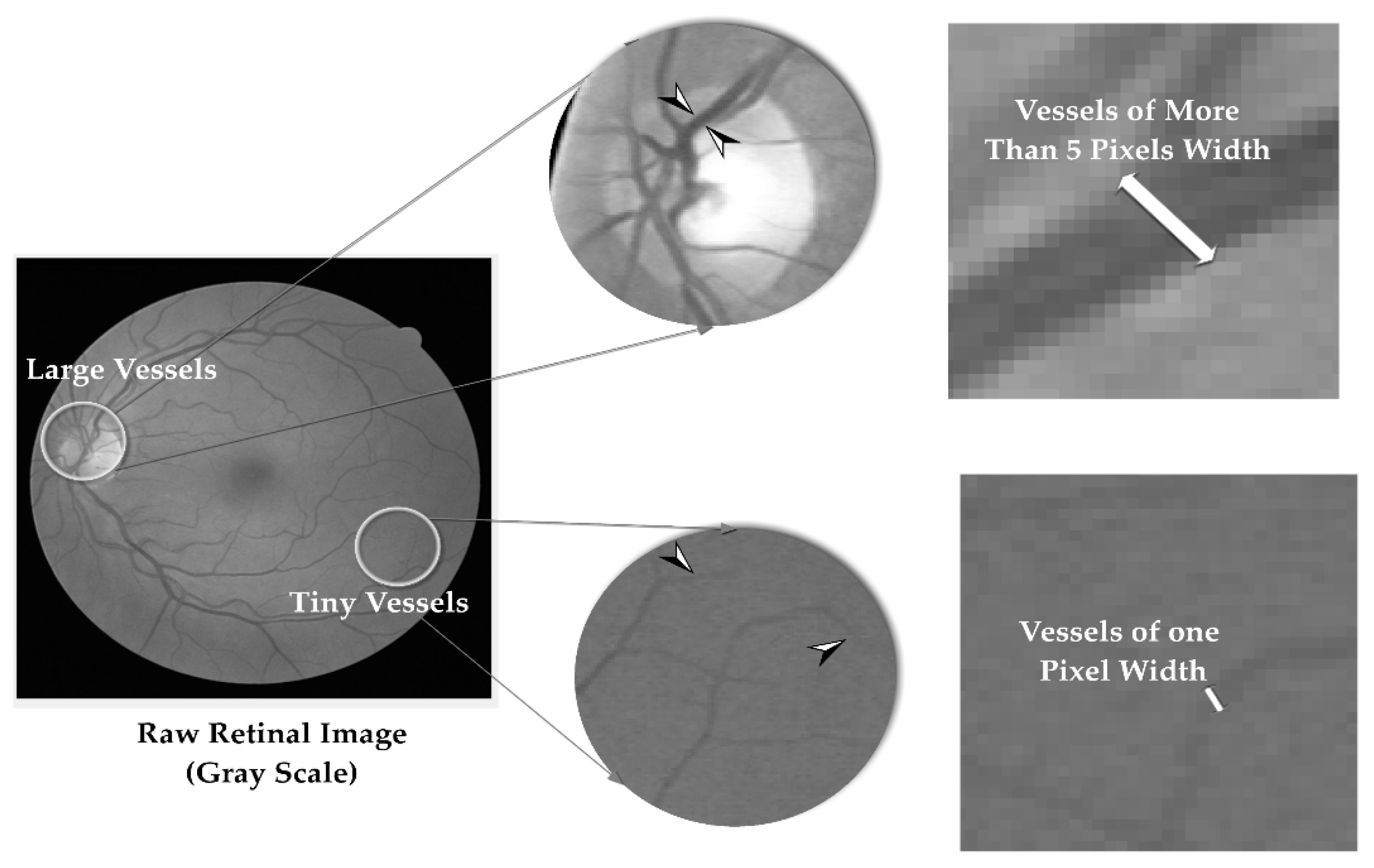 Applsci 08 00155 g004