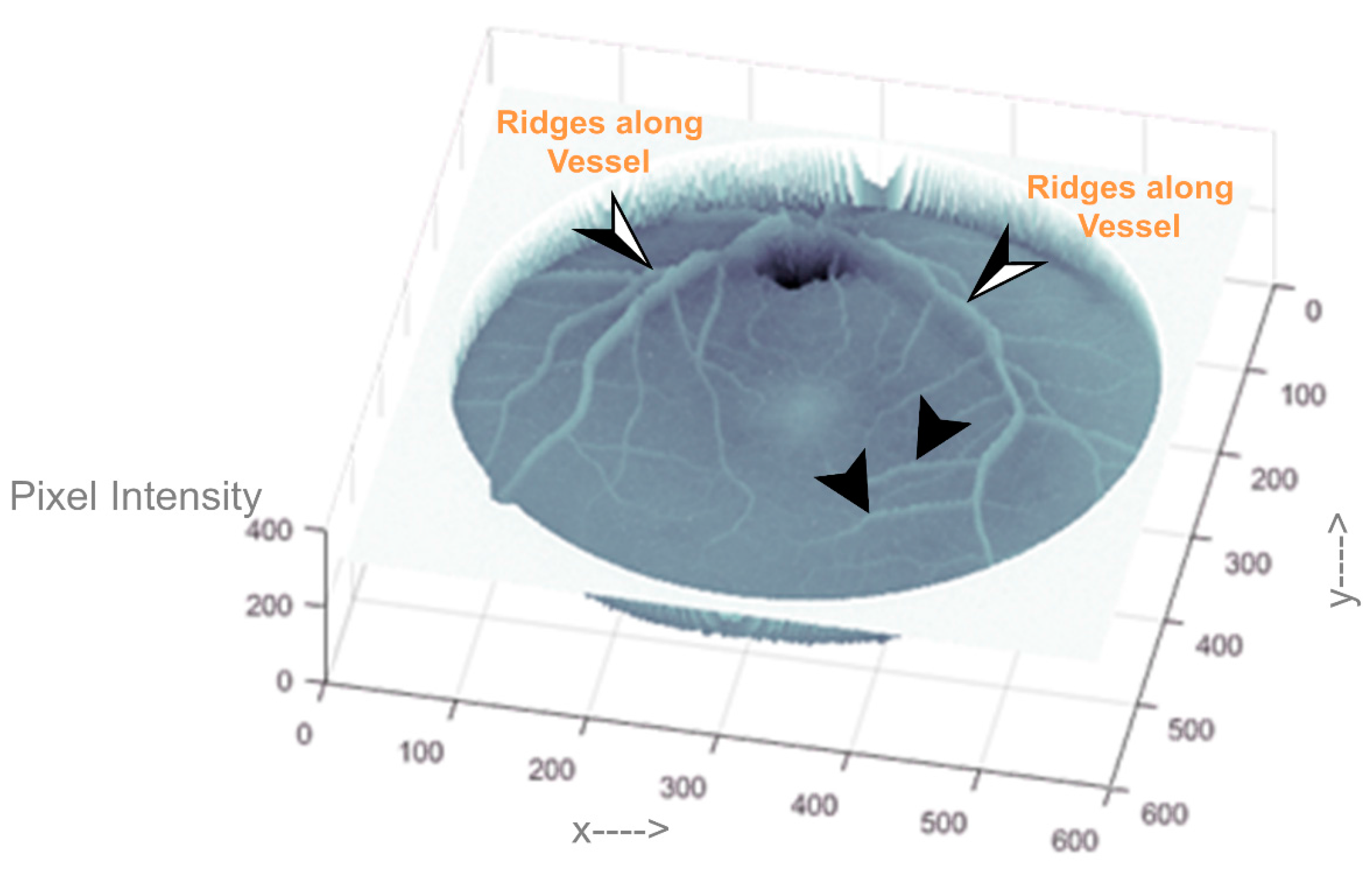Applsci 08 00155 g011