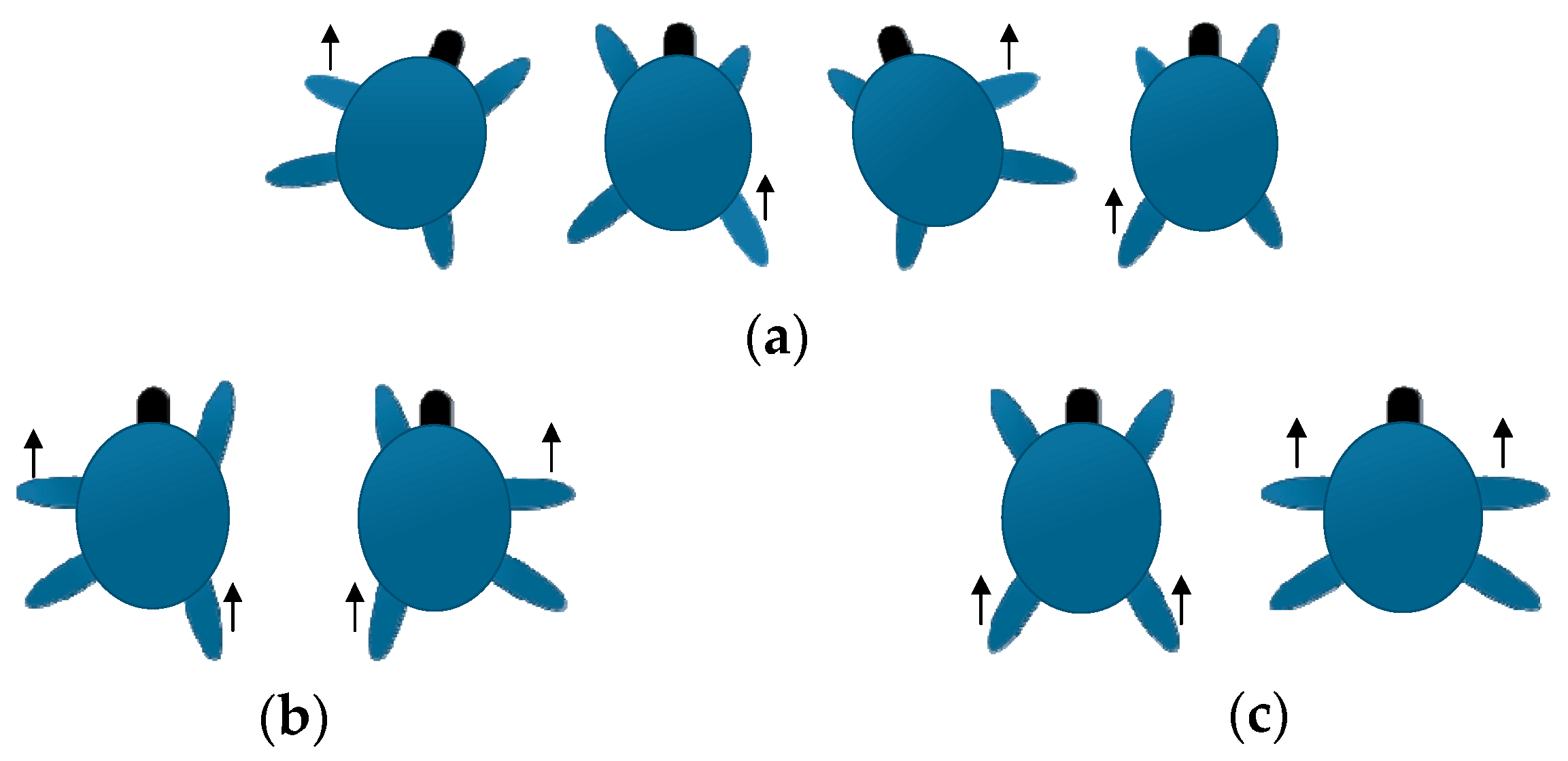 Applsci 08 00156 g006a