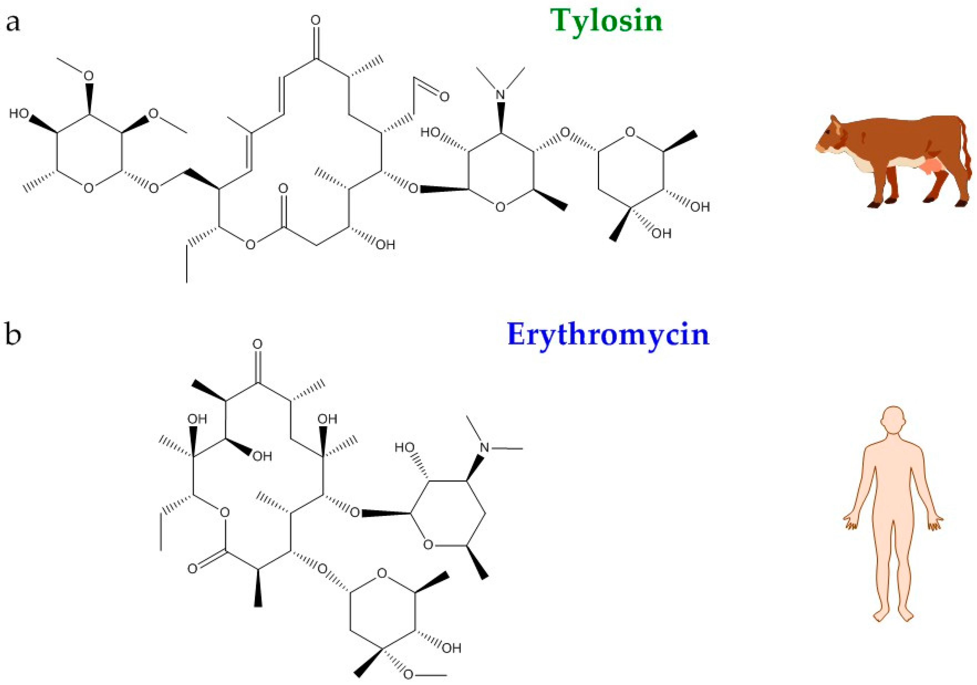 Applsci 08 00170 g002