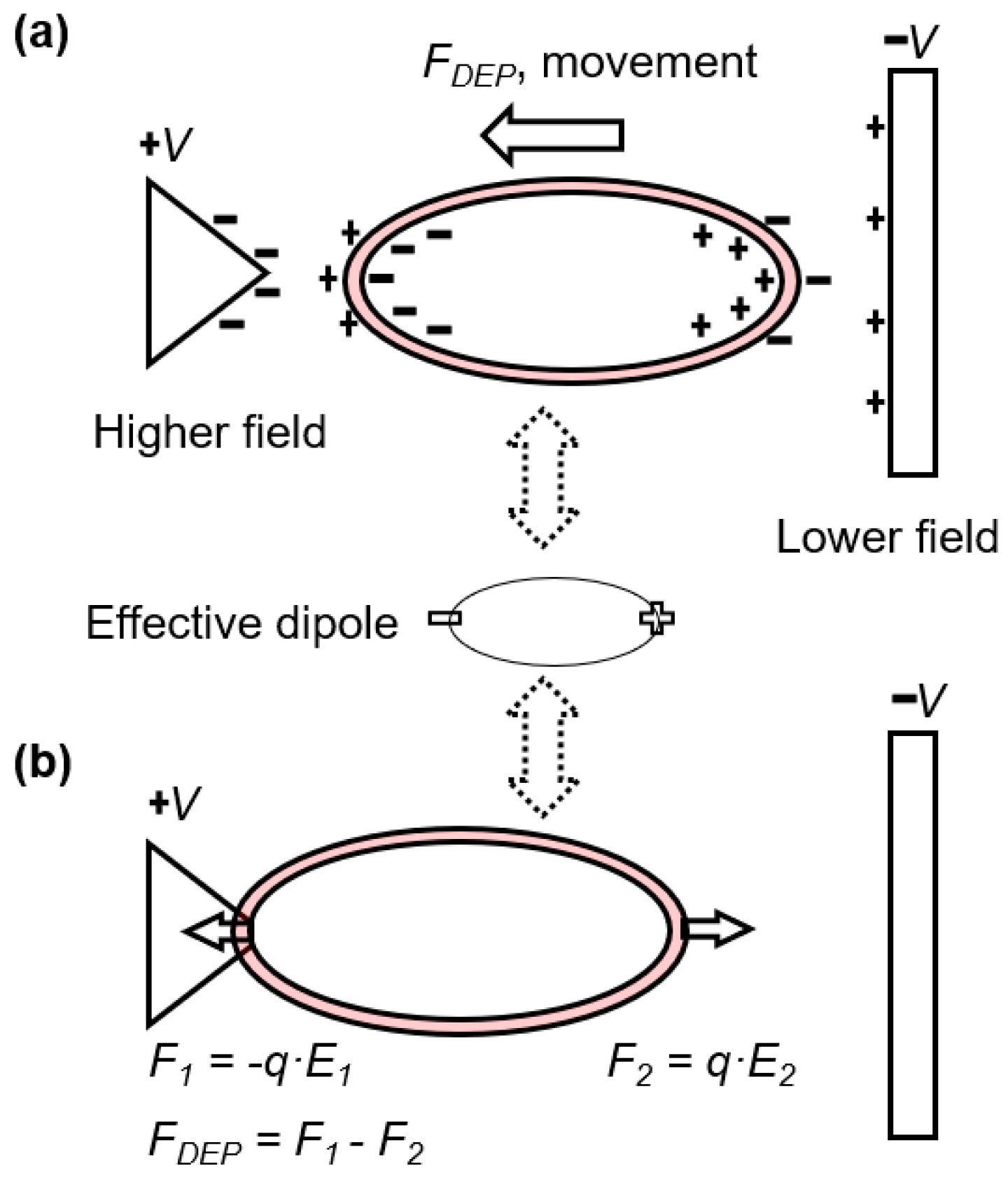 Applsci 08 00174 g001