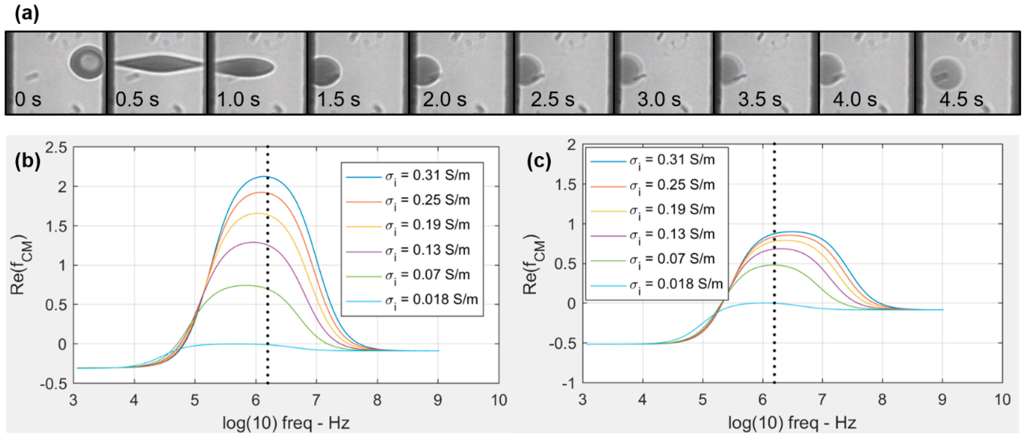 Applsci 08 00174 g007
