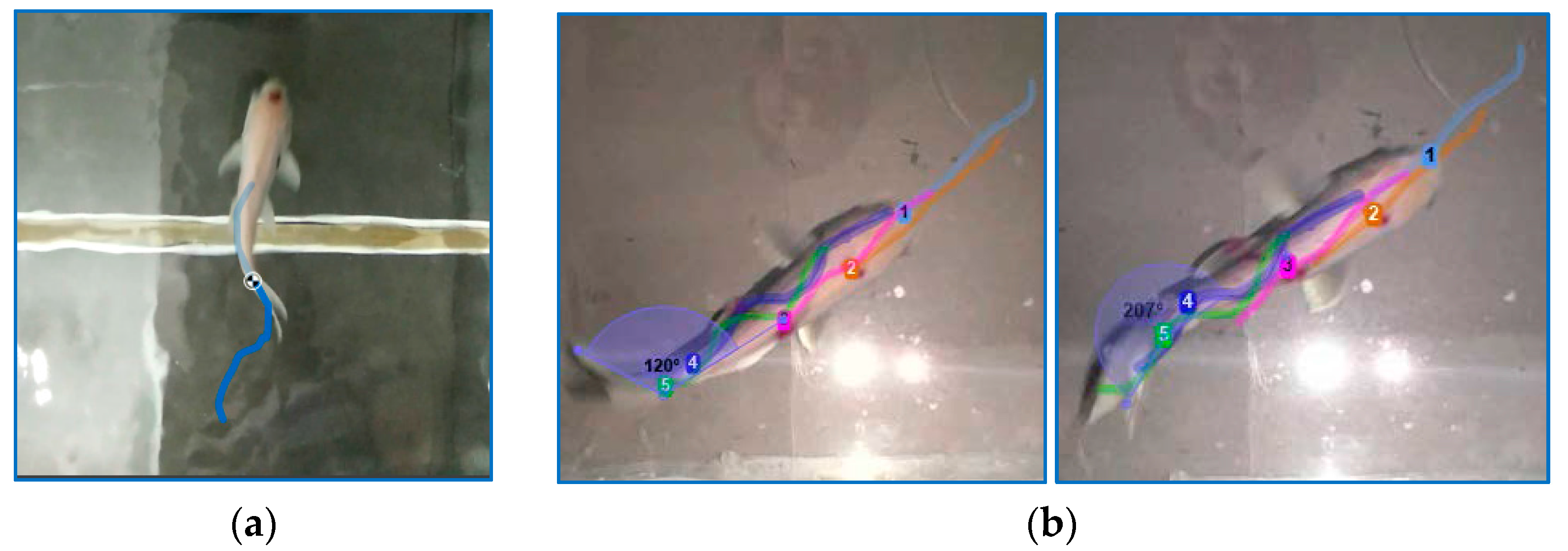 Applsci 08 00180 g004