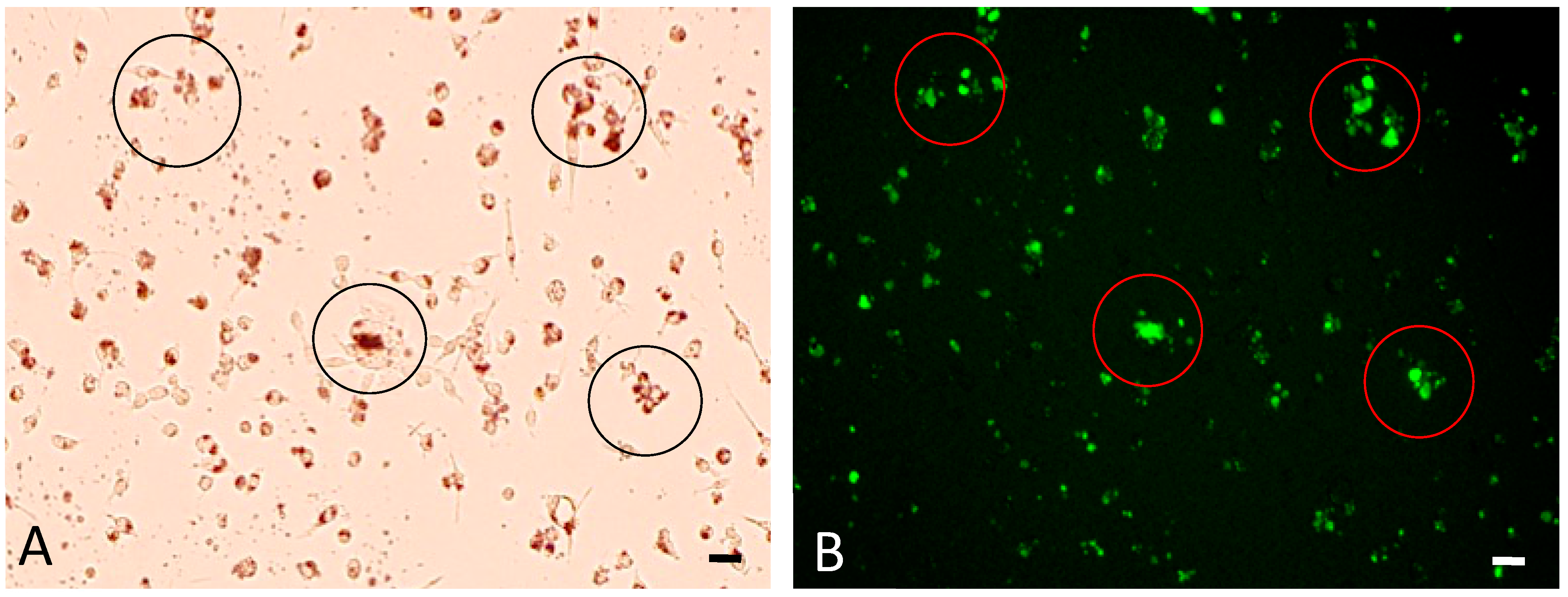 Applsci 08 00281 g003