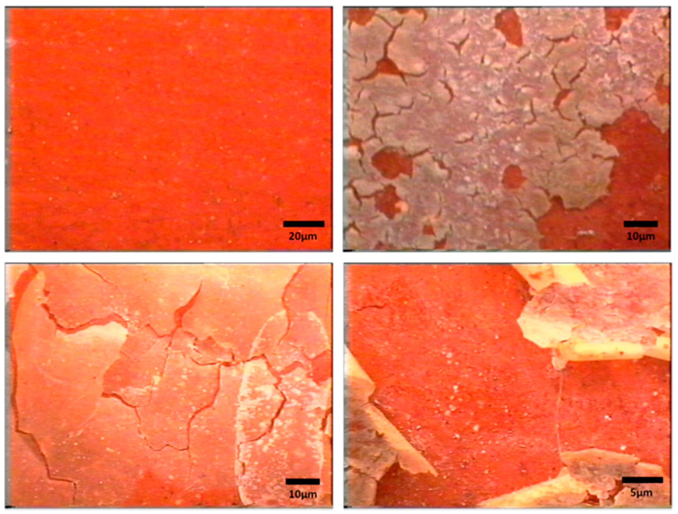 Applsci 08 00284 g020