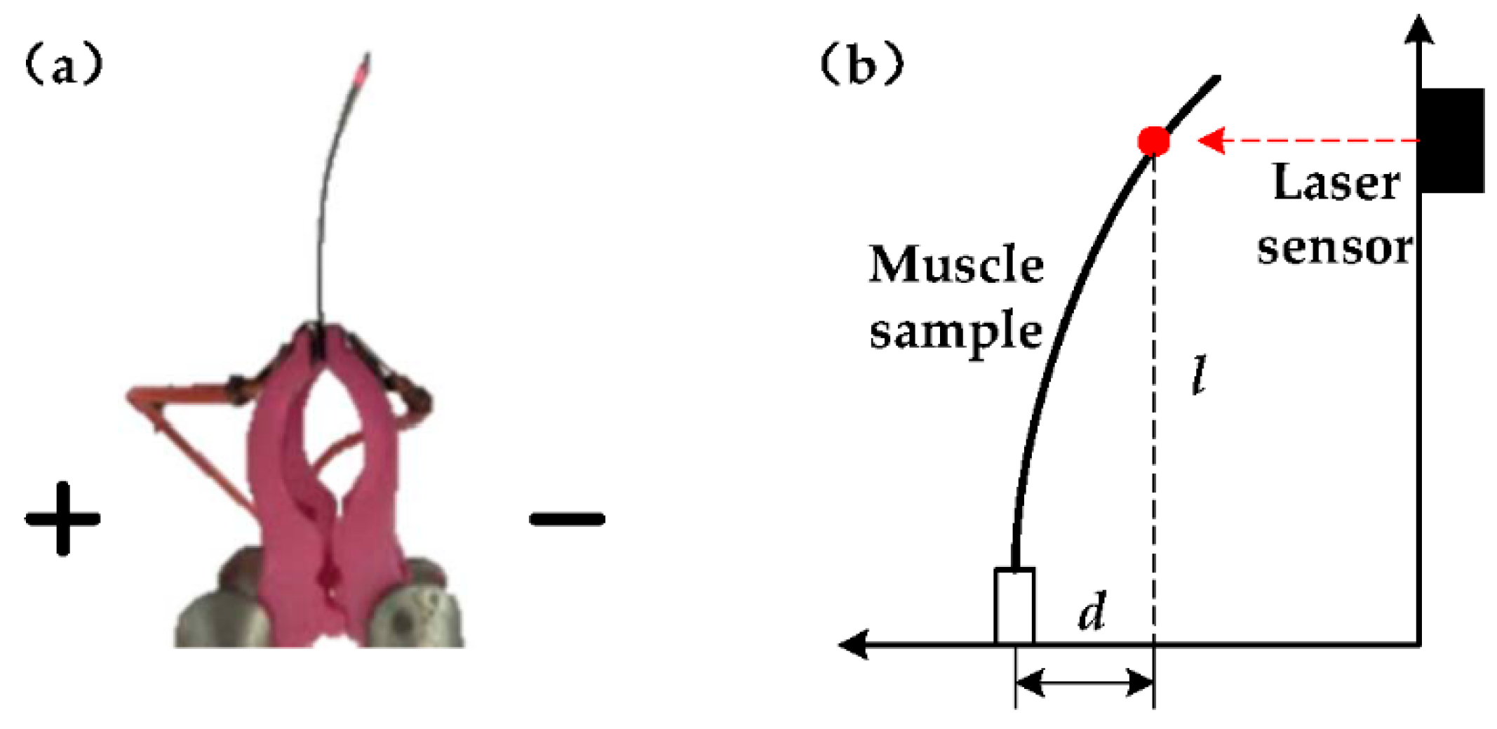 Applsci 08 00315 g003