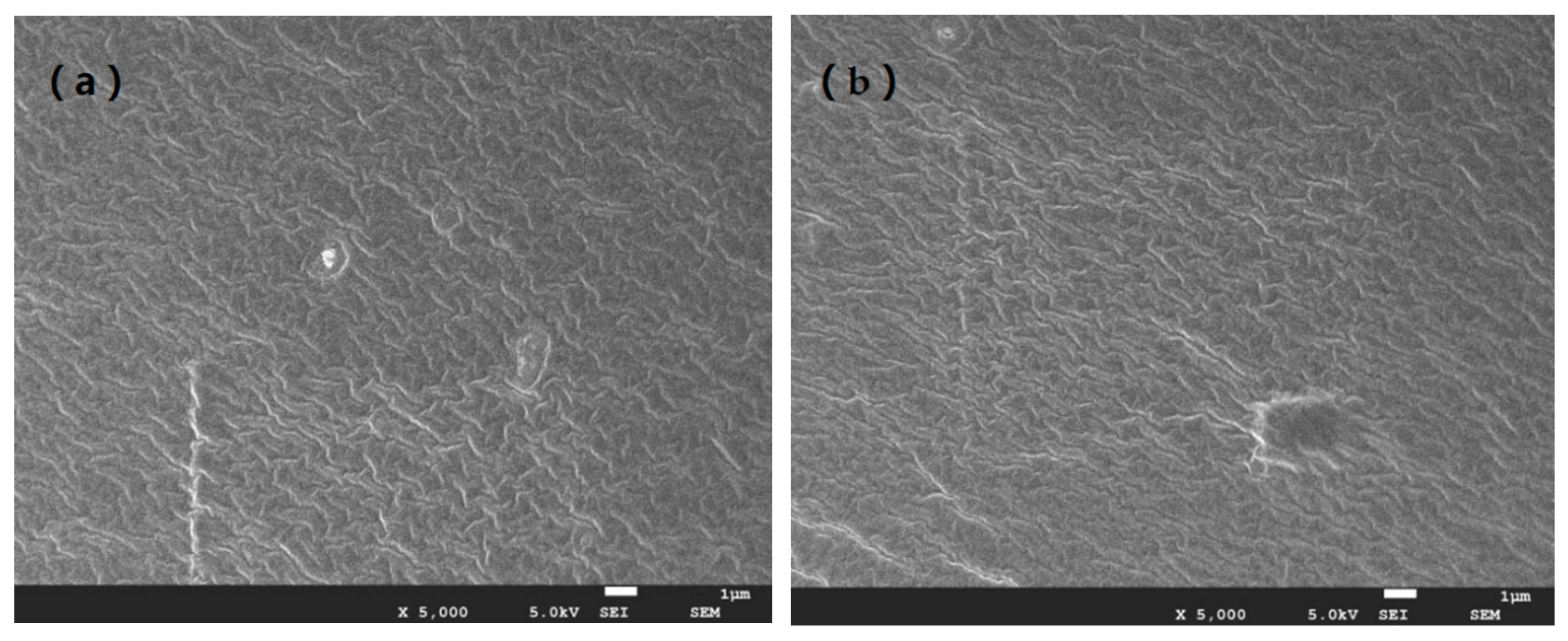 Applsci 08 00315 g005