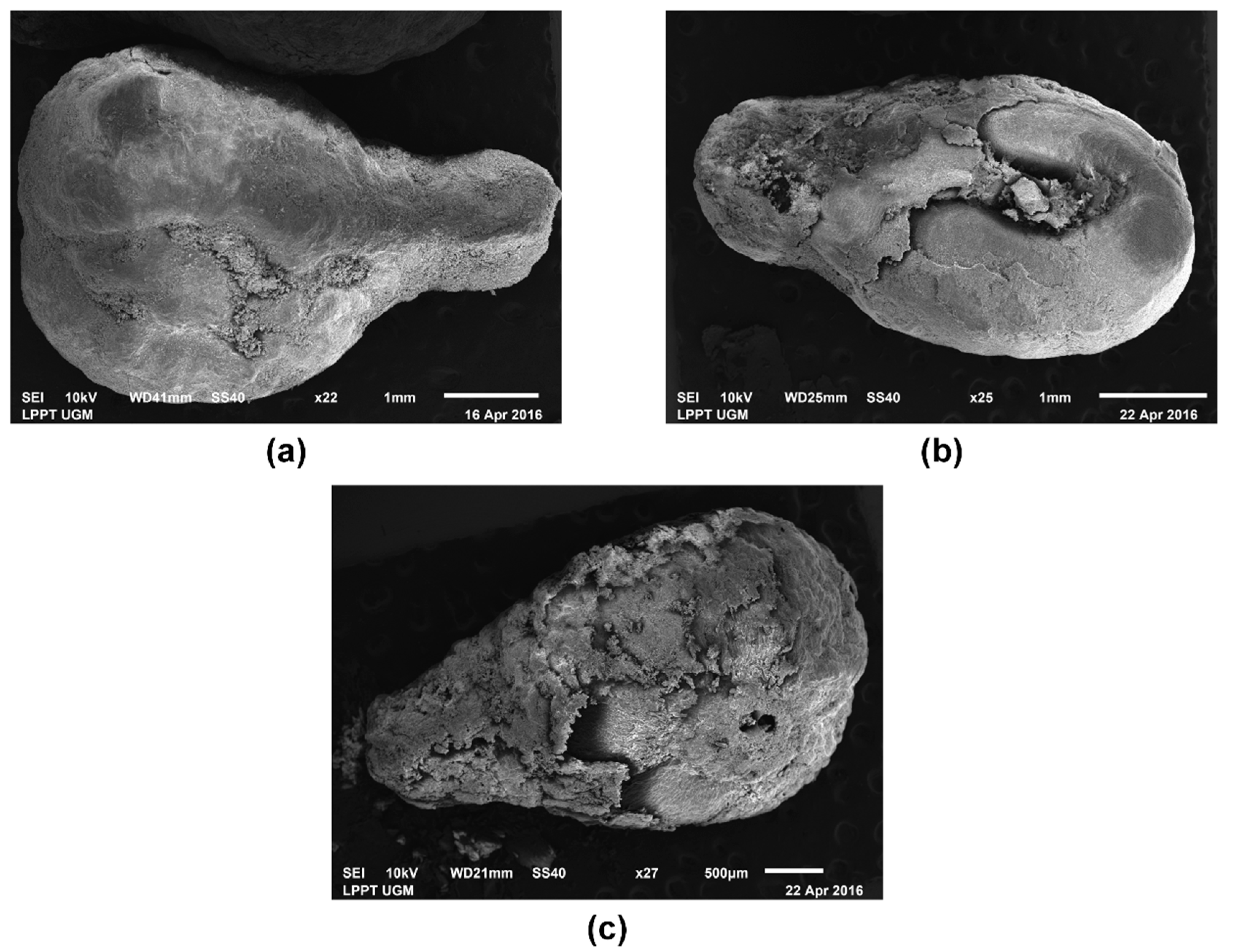 Applsci 08 00331 g004