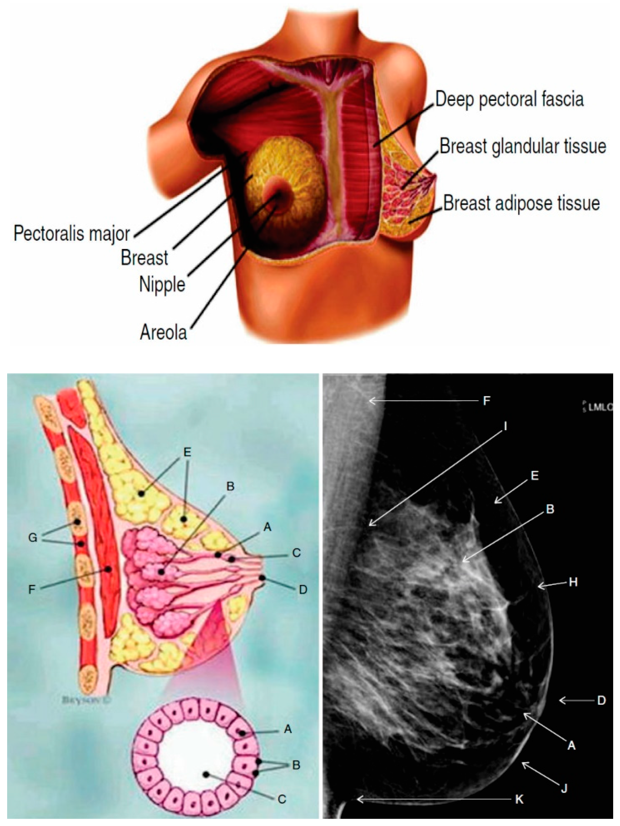 Applsci 08 00357 g004 Applsci 08 00357 g004