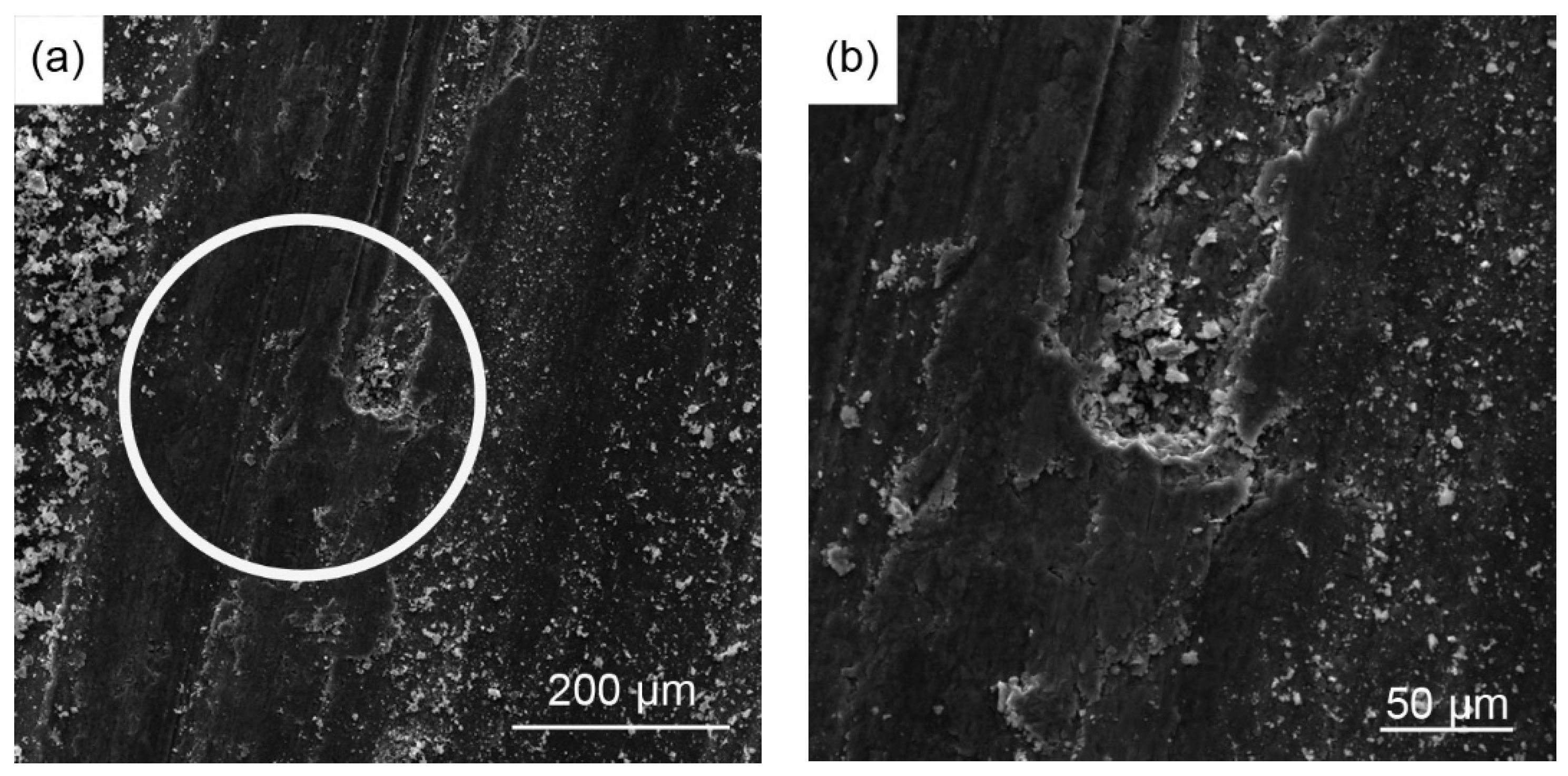 Applsci 08 00372 g010a