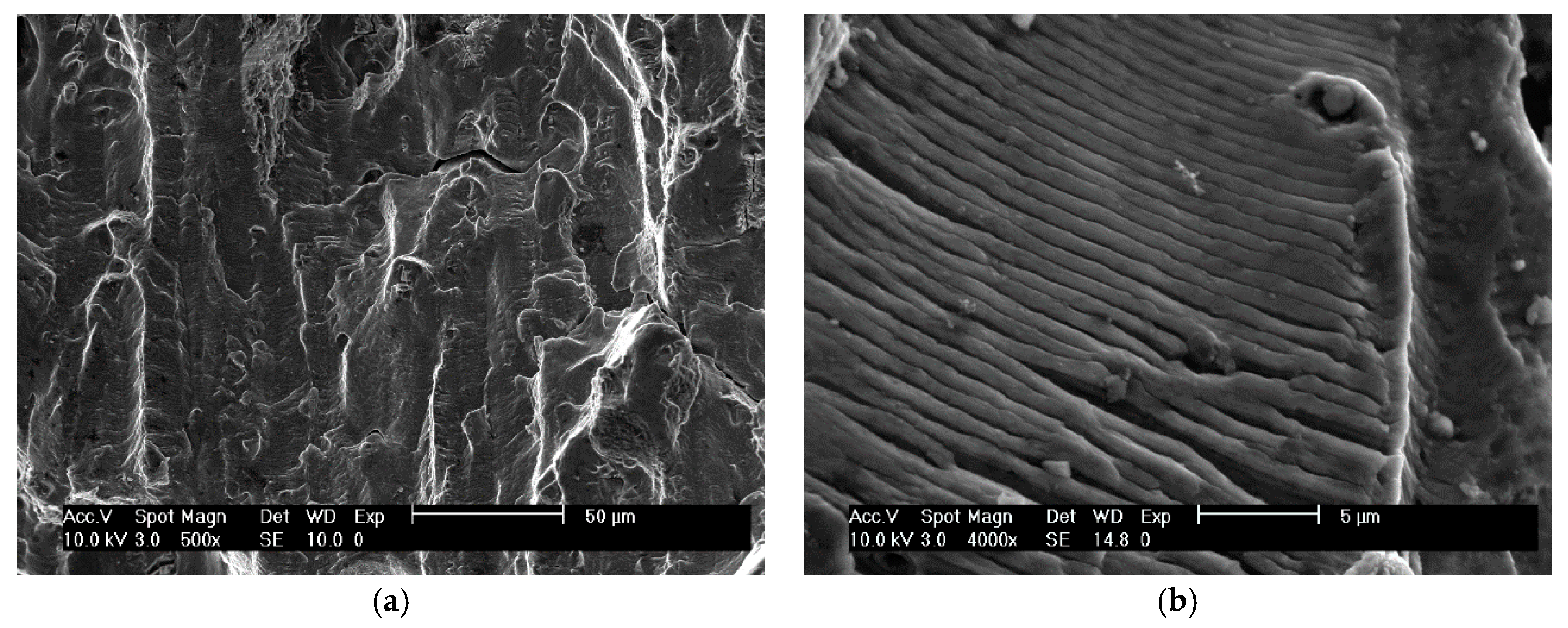 Applsci 08 00375 g011