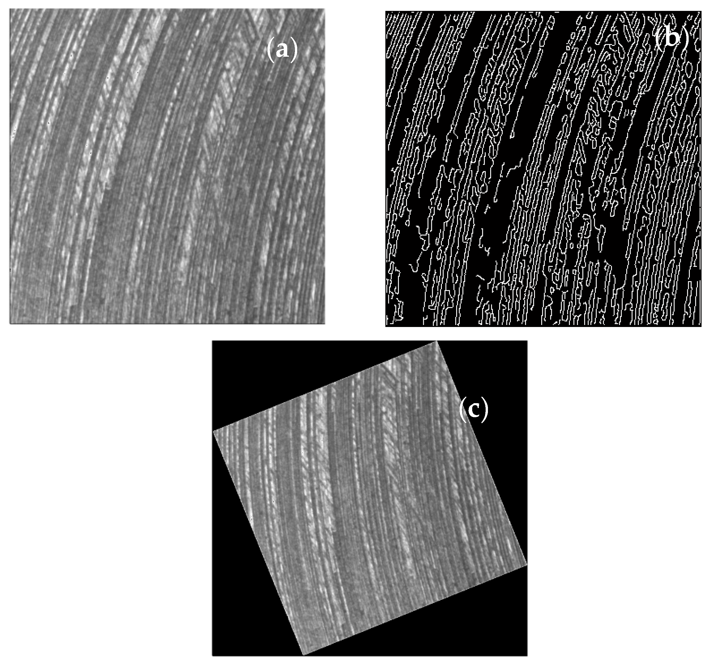 Applsci 08 00381 g013