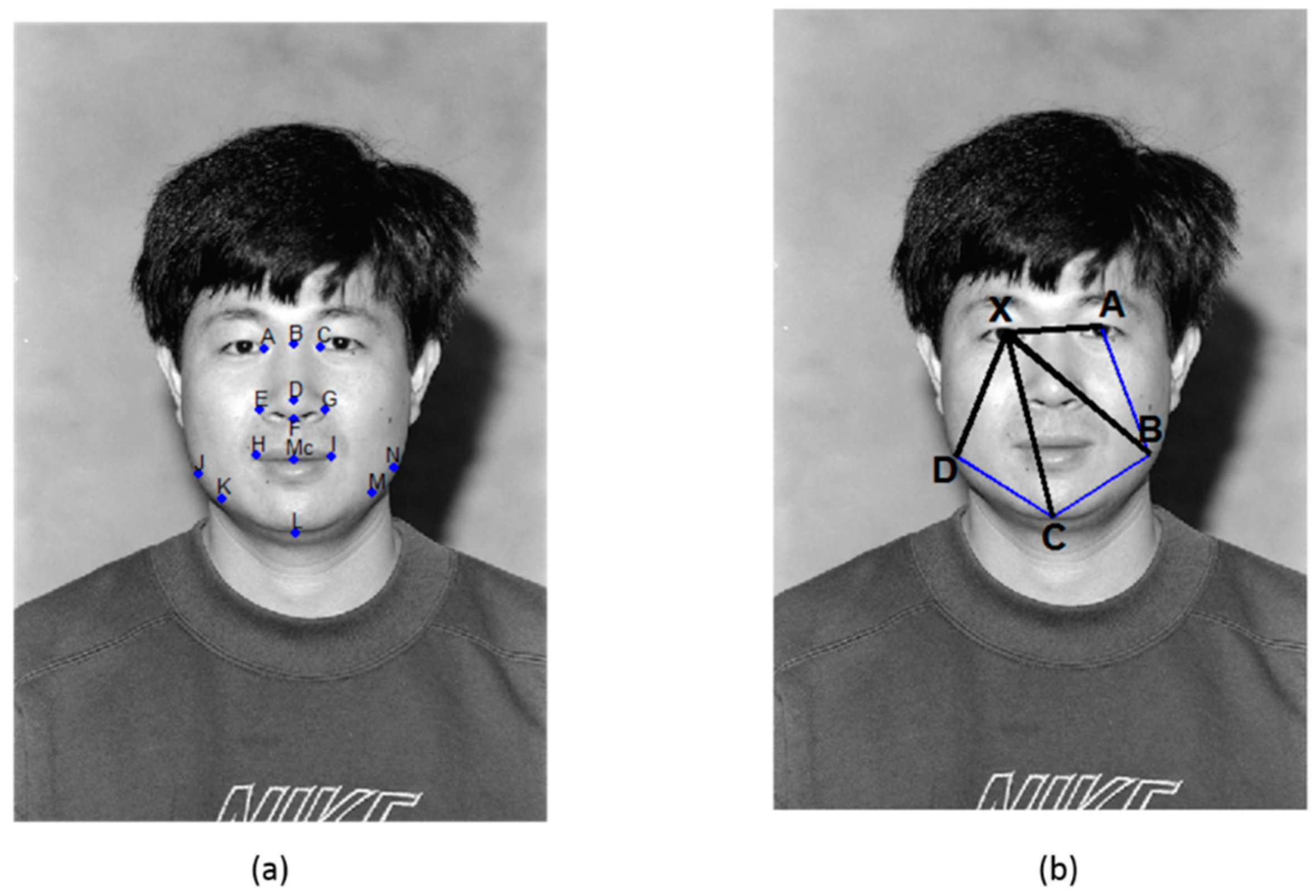 Applsci 08 00387 g004