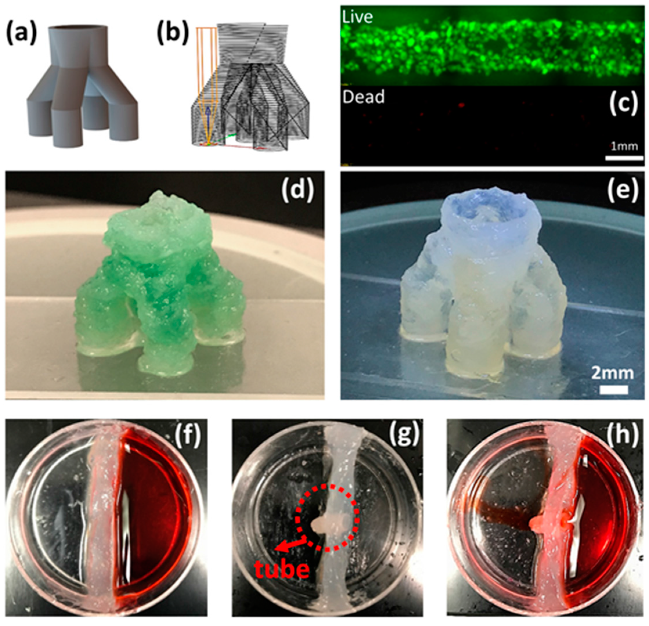 Applsci 08 00403 g009