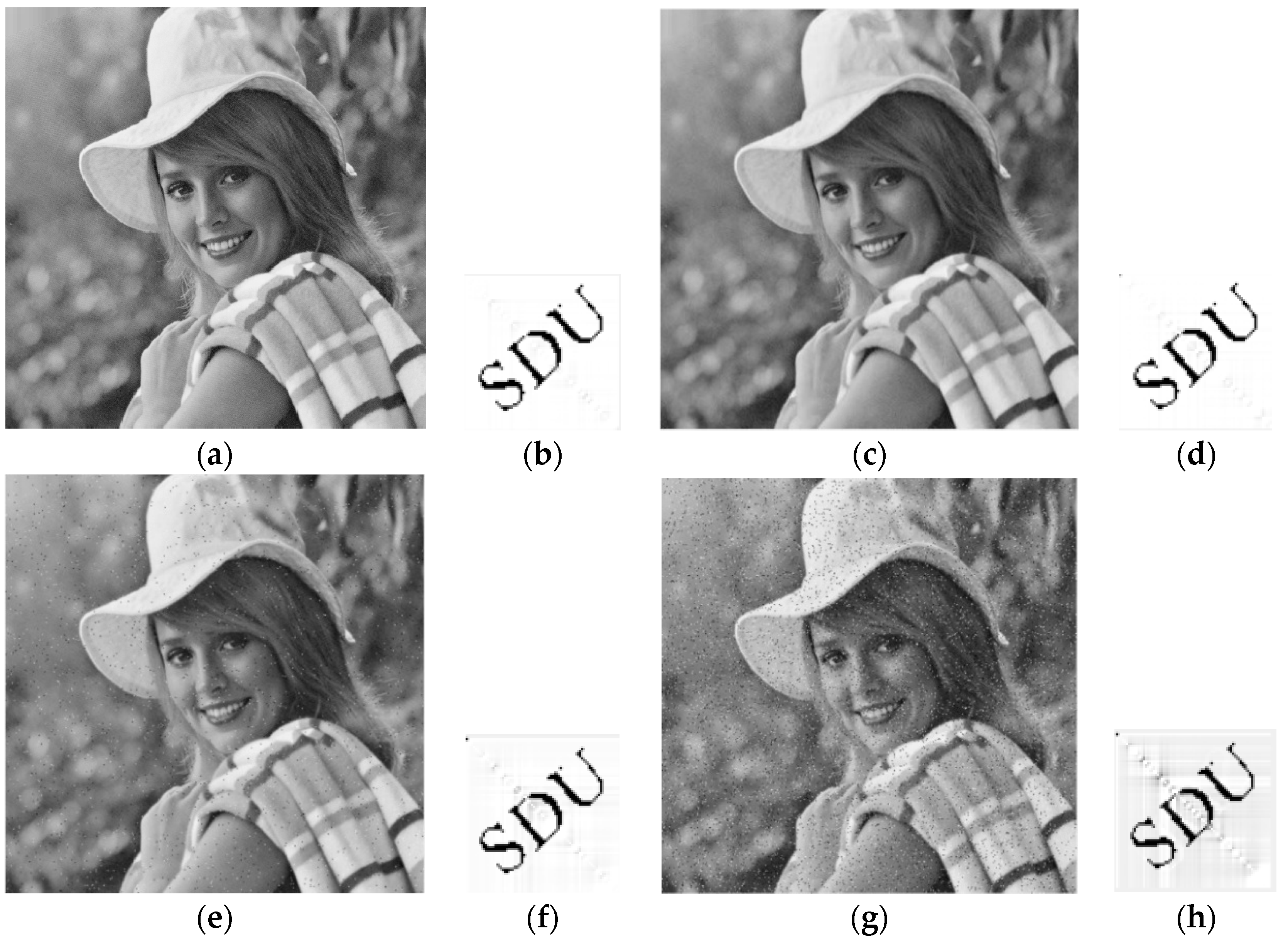 Applsci 08 00410 g010a