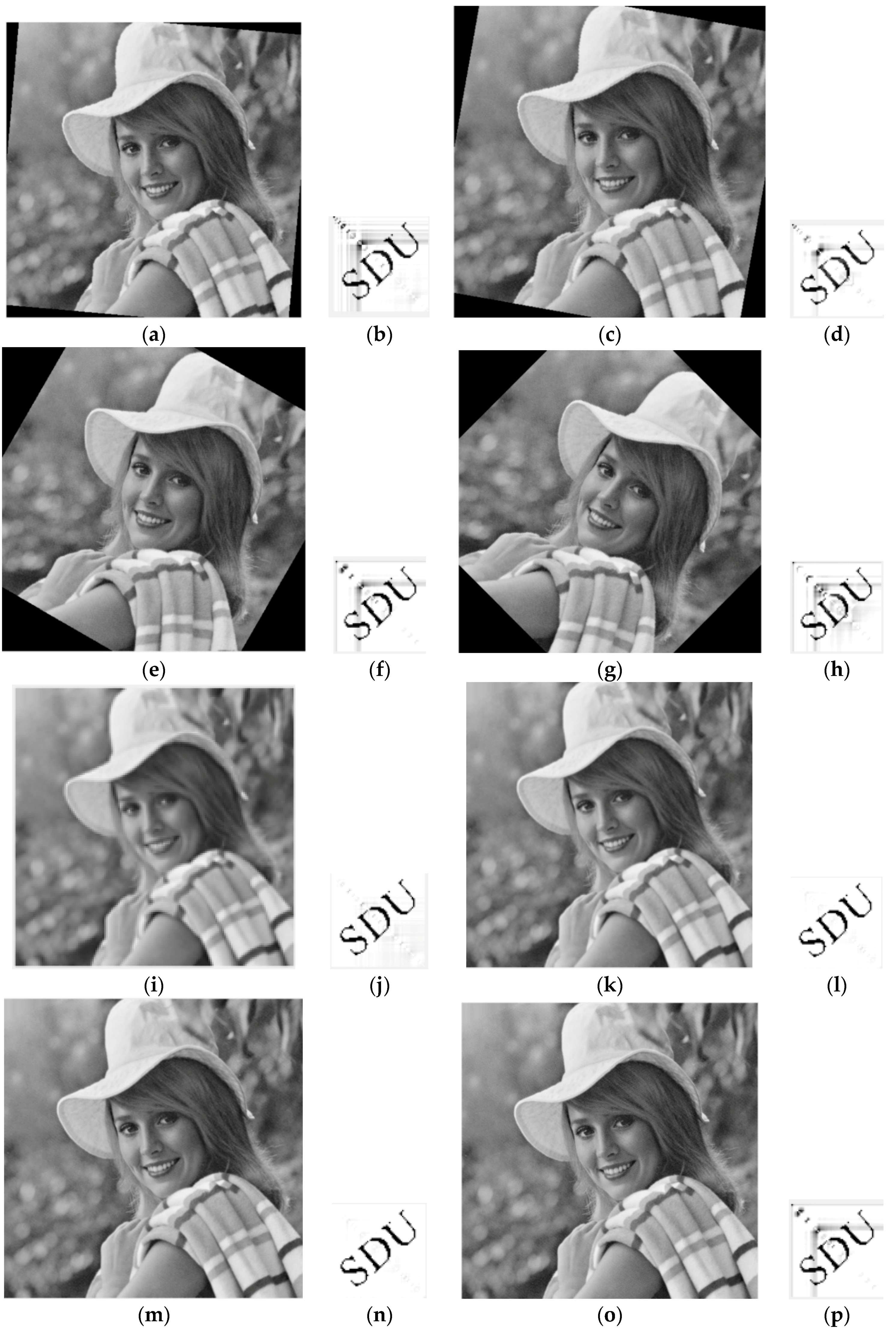 Applsci 08 00410 g011a