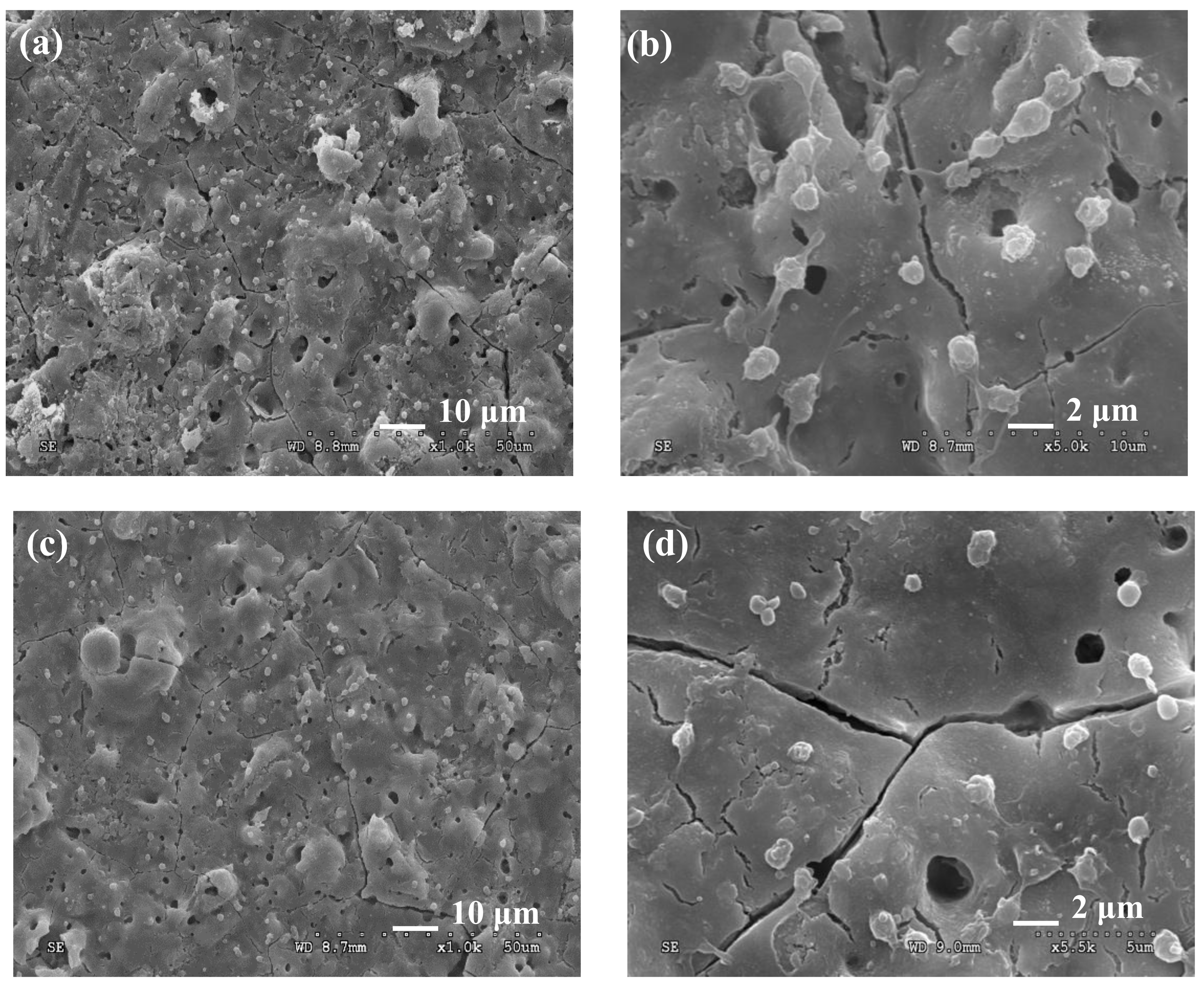 Applsci 08 00569 g006