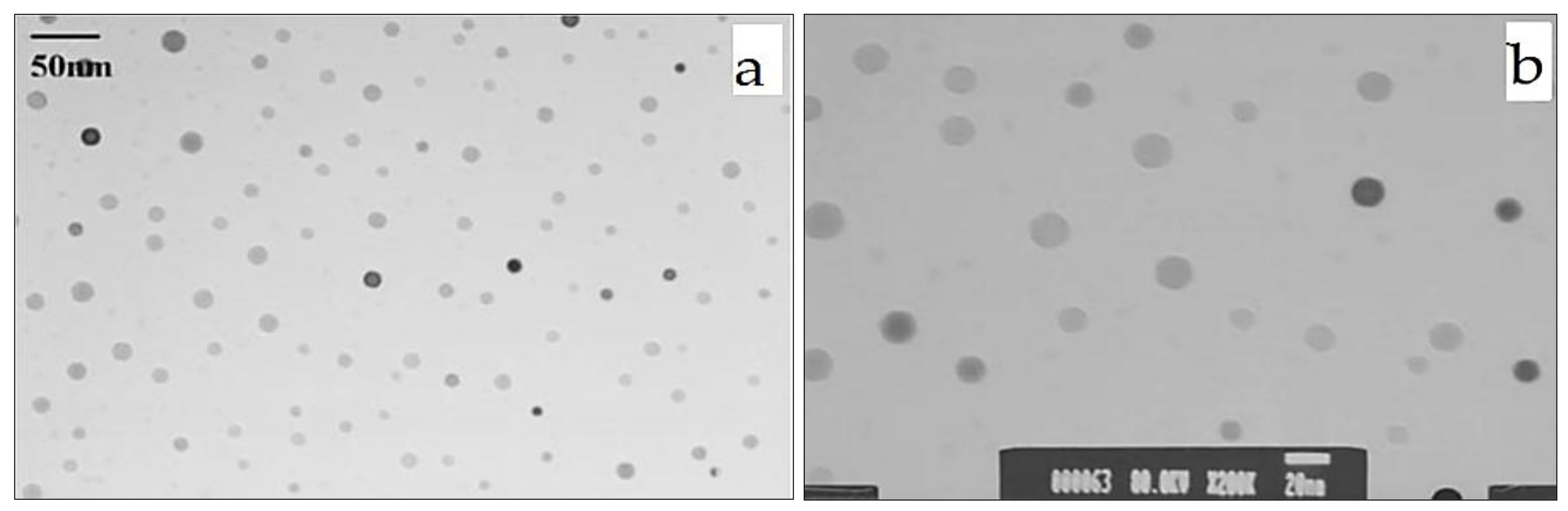 Applsci 08 00587 g006