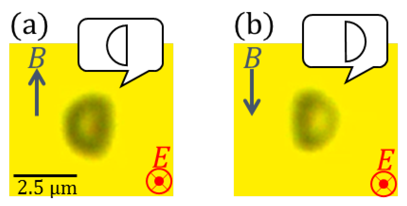 Applsci 08 00653 g013