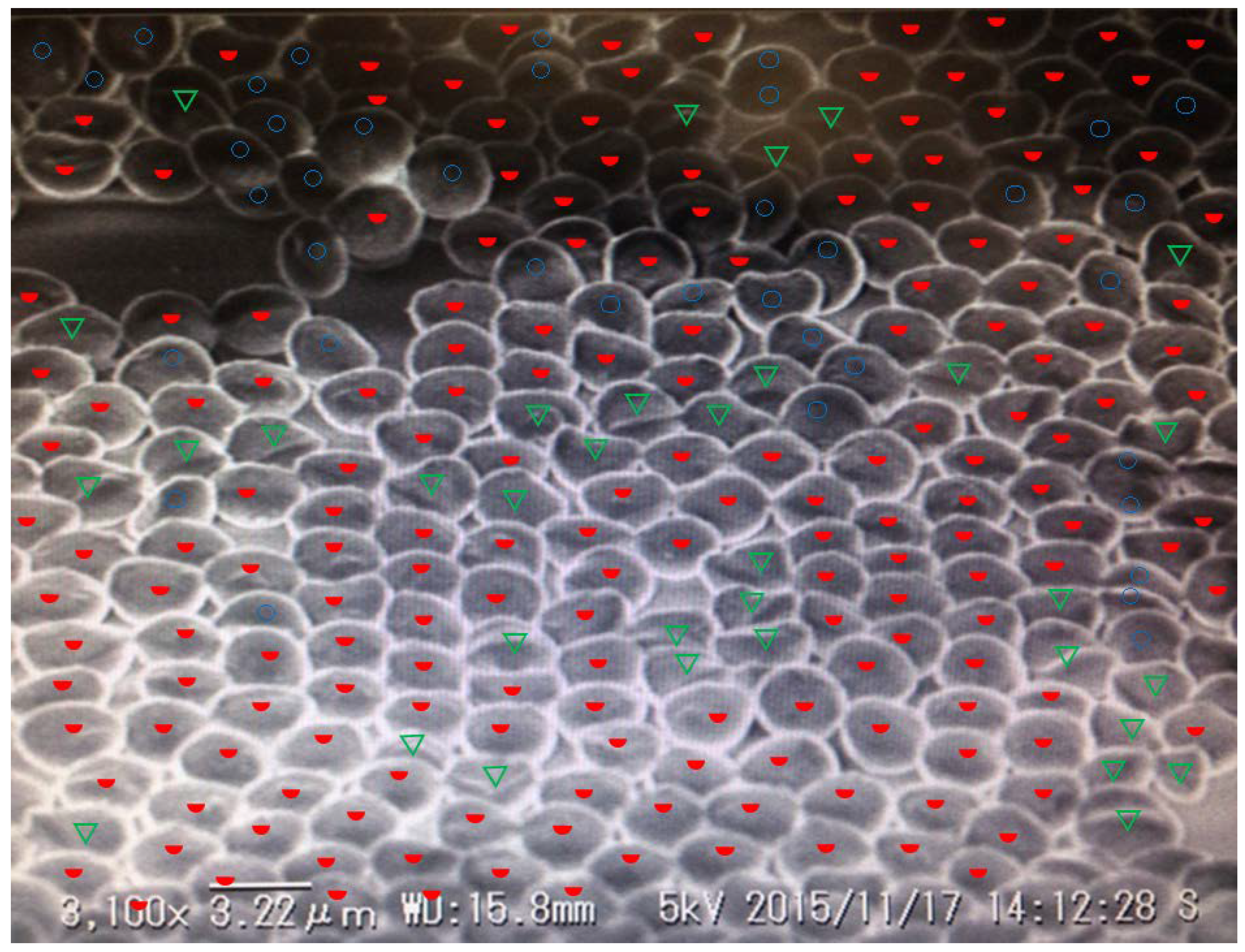 Applsci 08 00653 g0a1