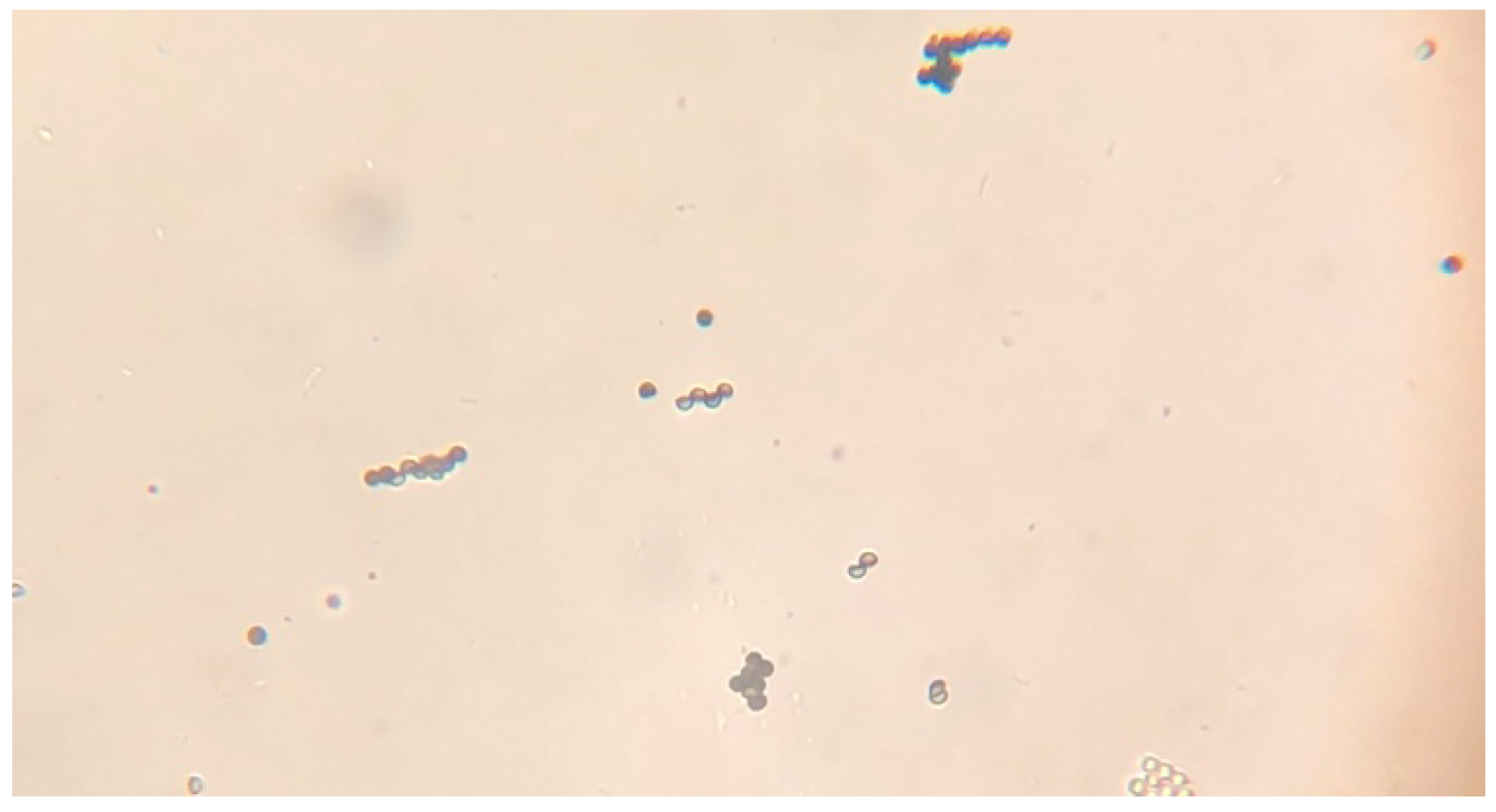 Applsci 08 00653 g0a2