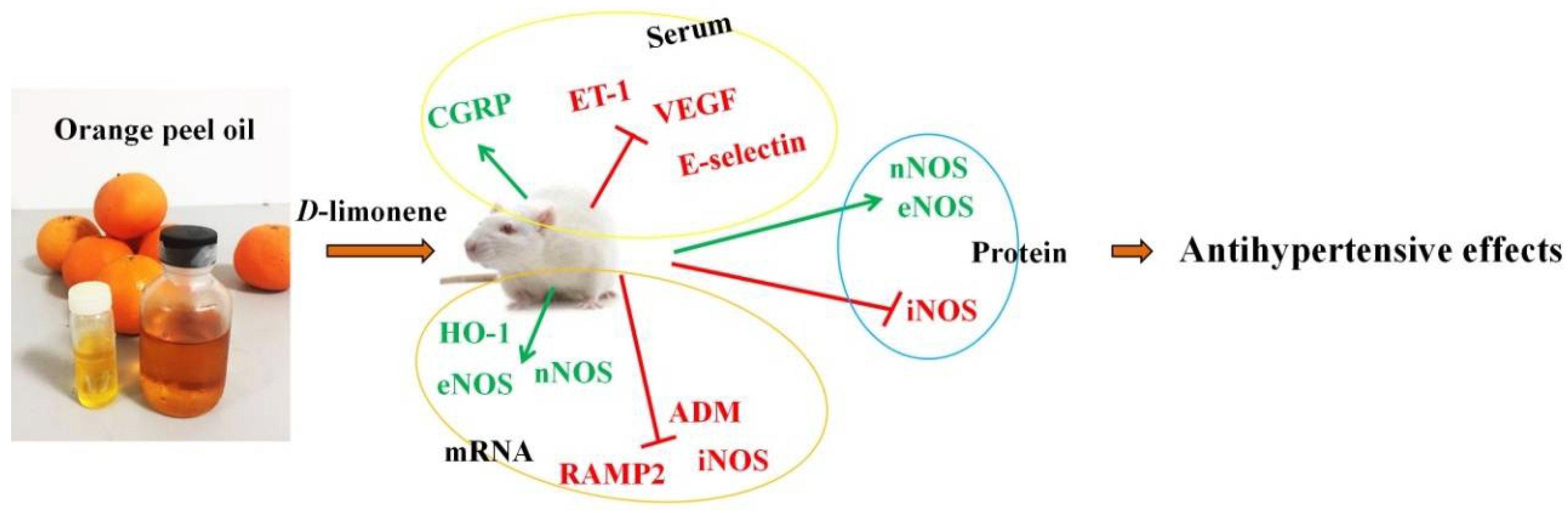 Applsci 08 00752 g009