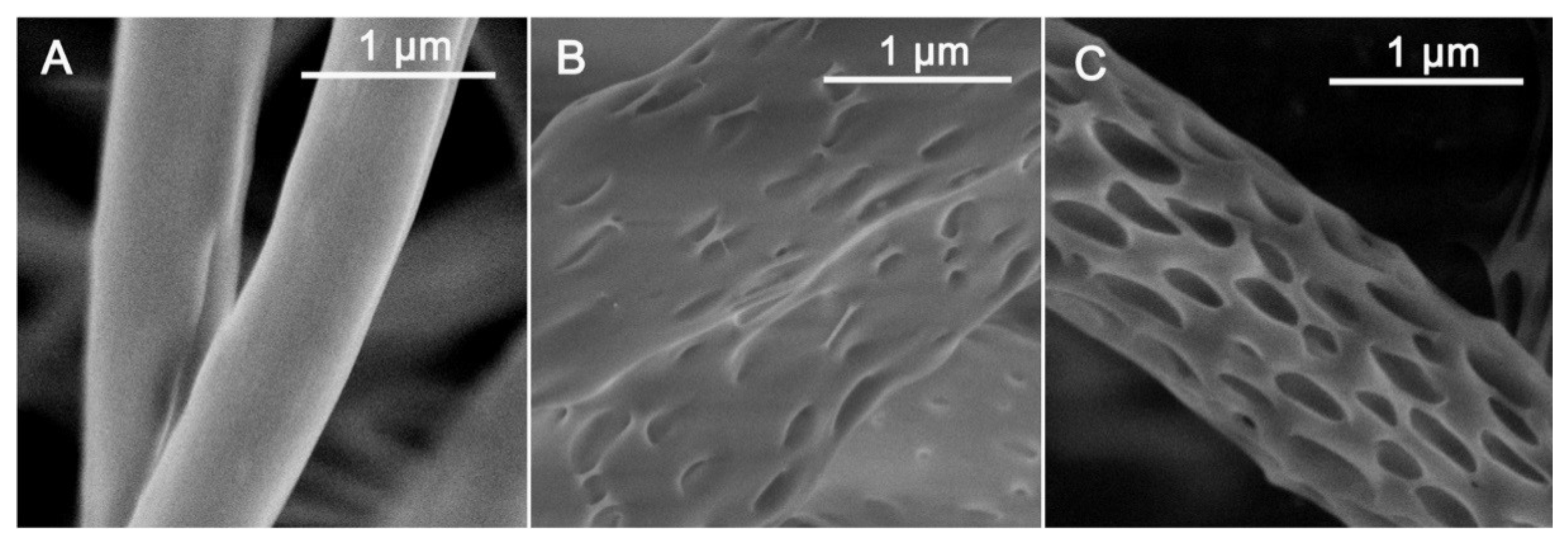 Applsci 08 00831 g001