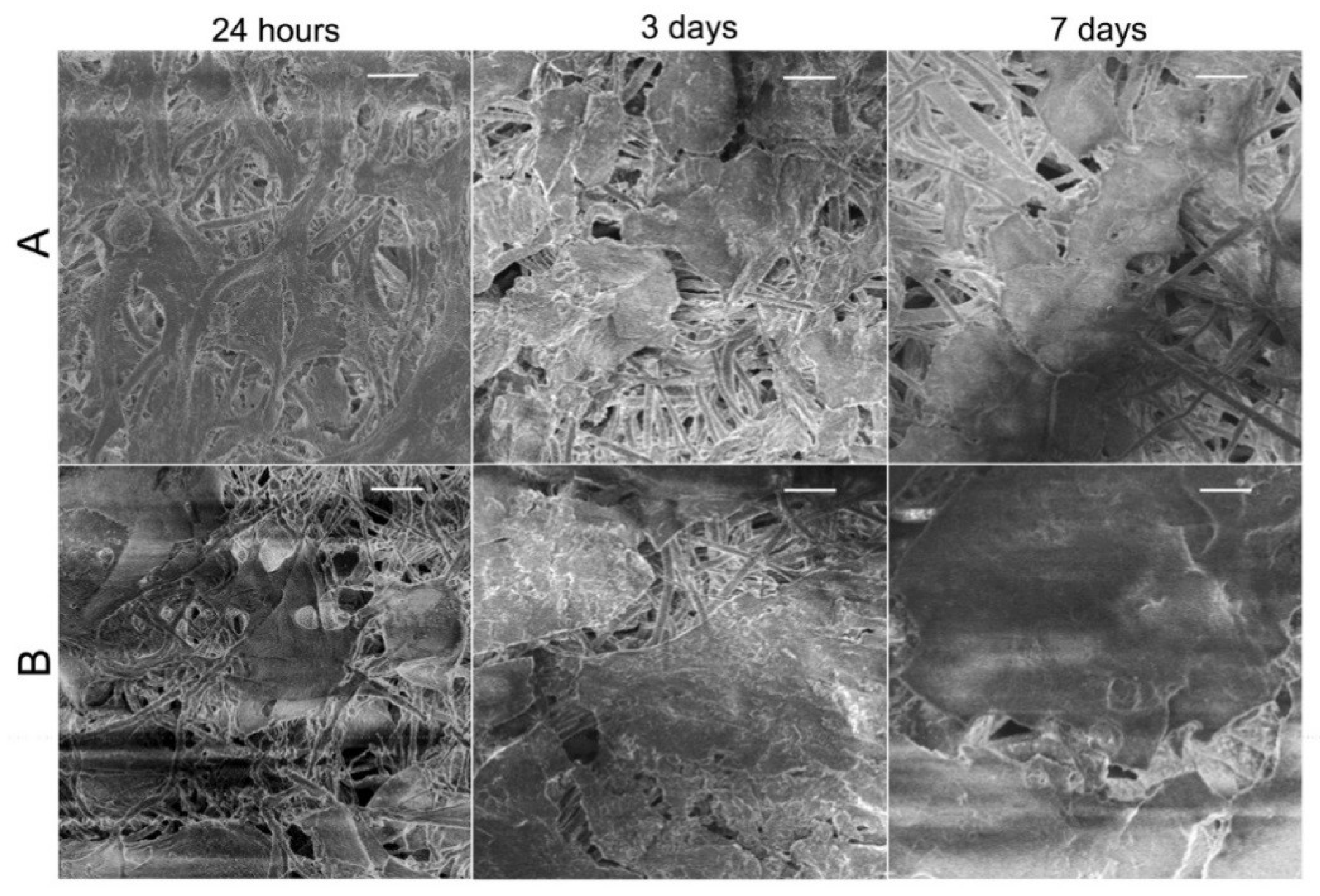 Applsci 08 00831 g009