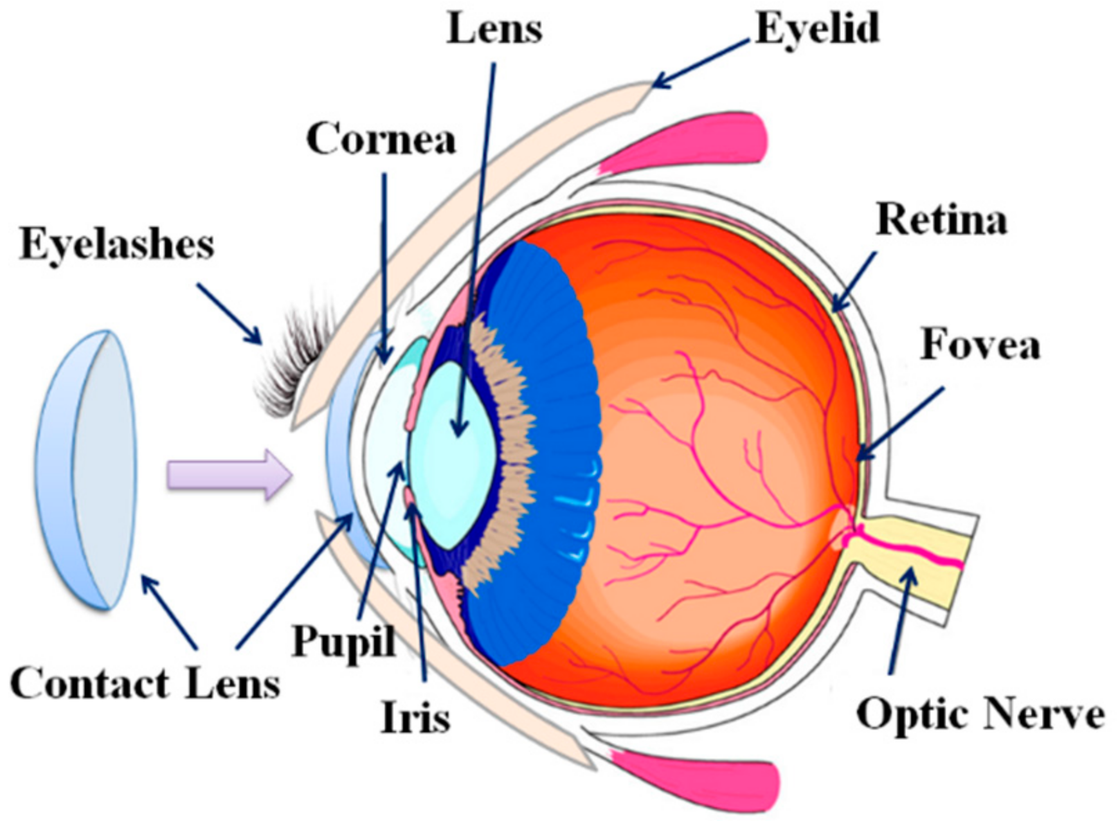 Applsci 08 00855 g002