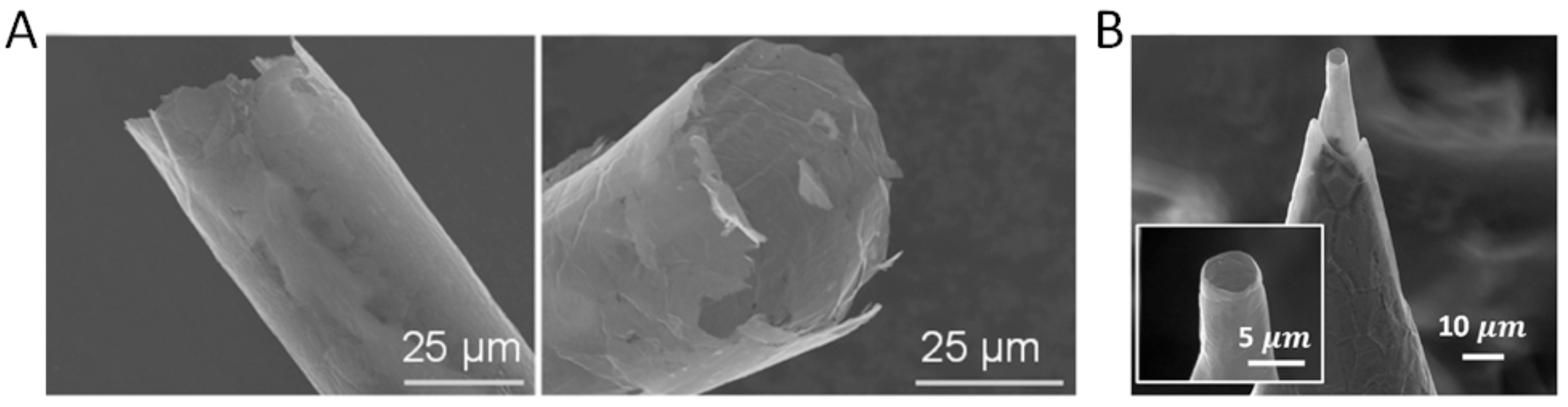 Applsci 08 00868 g006