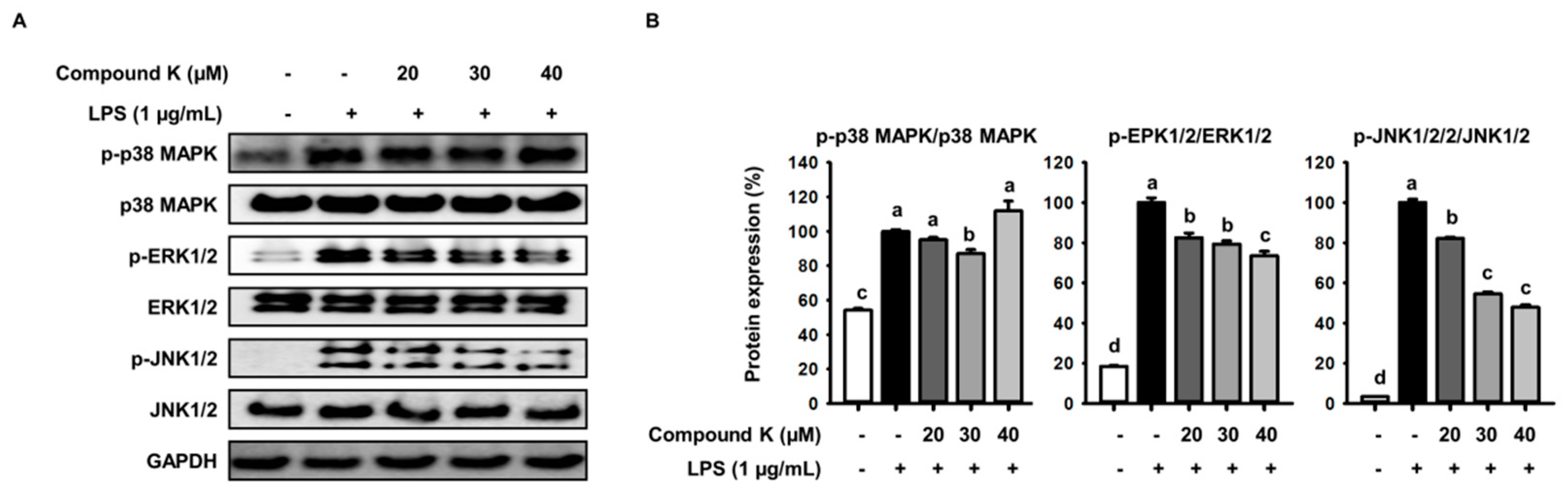 Applsci 08 00924 g005 Applsci 08 00924 g005