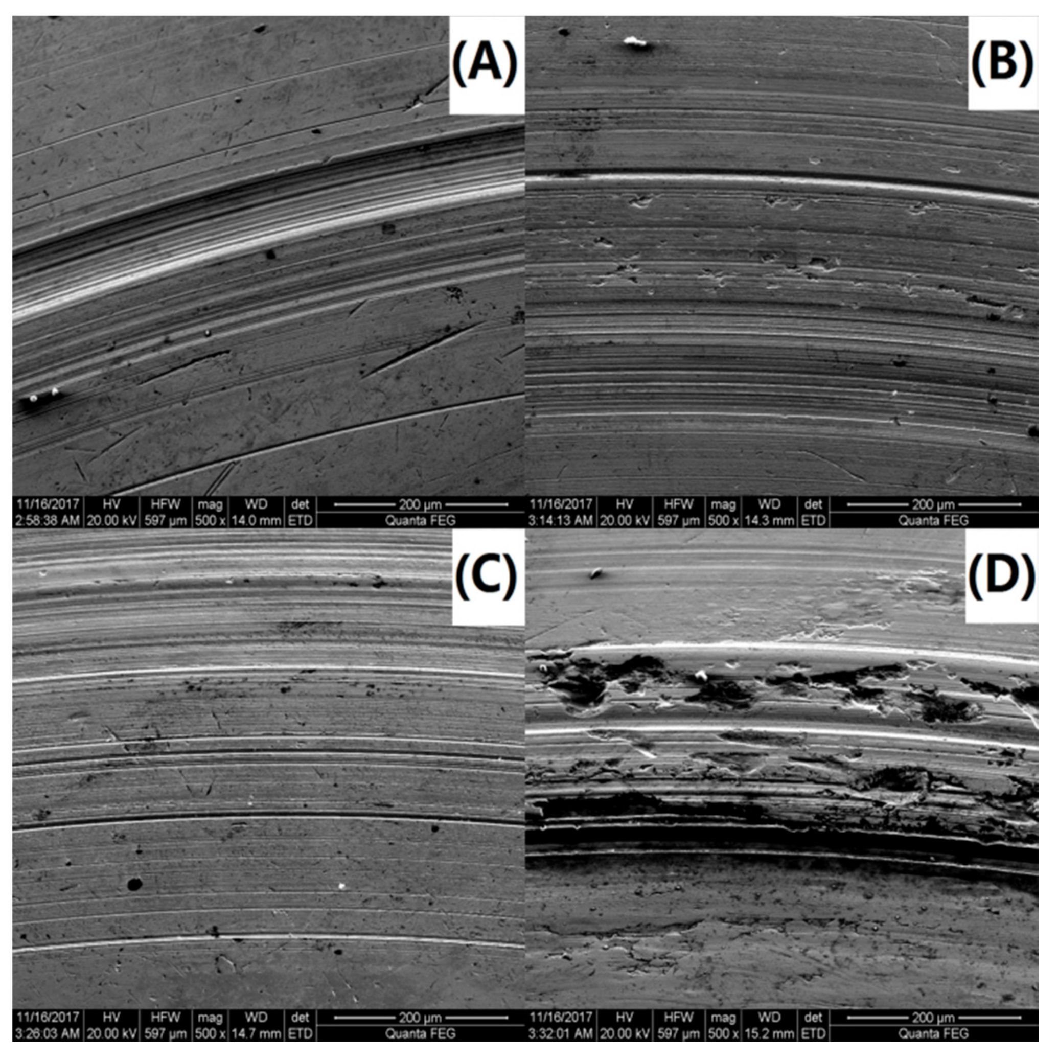 Applsci 08 00964 g011