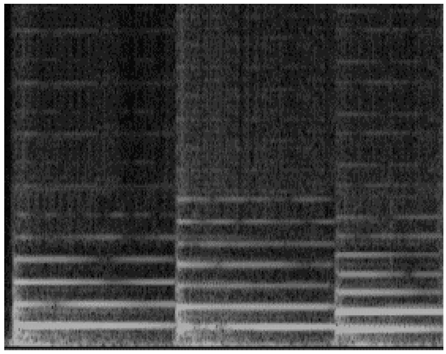 Applsci 08 00967 g020