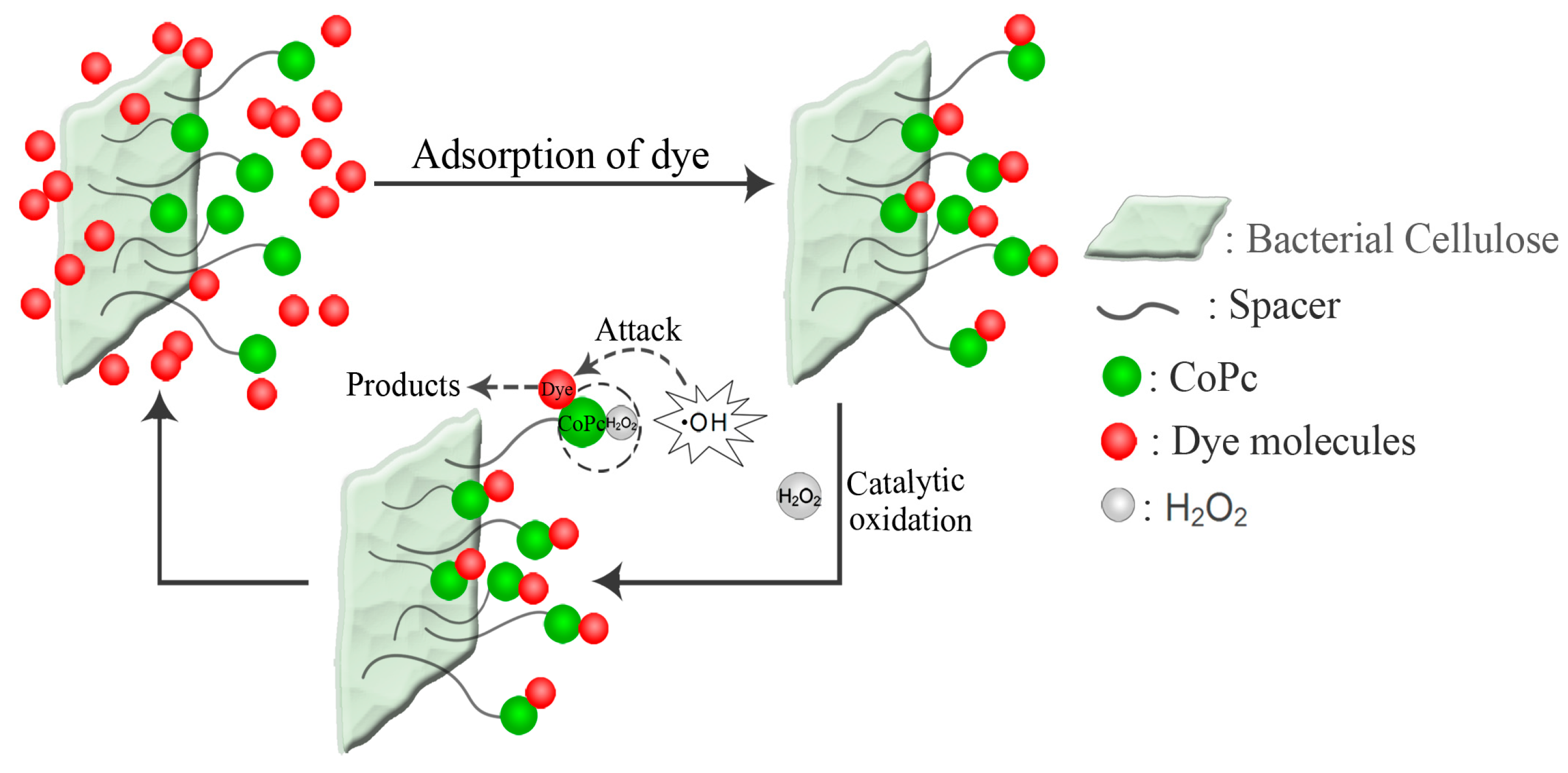 Applsci 08 01021 g010