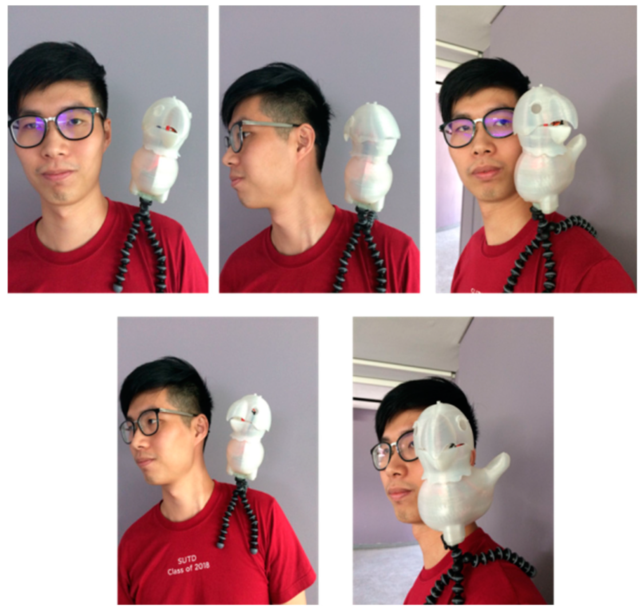 Applsci 08 01081 g010